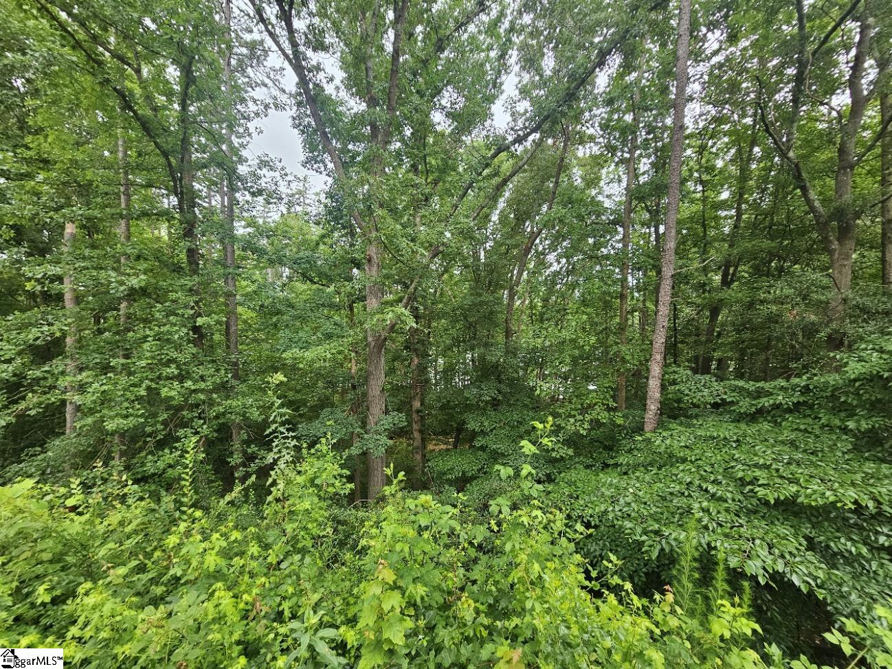 402 Lookover Drive Anderson, SC 29621