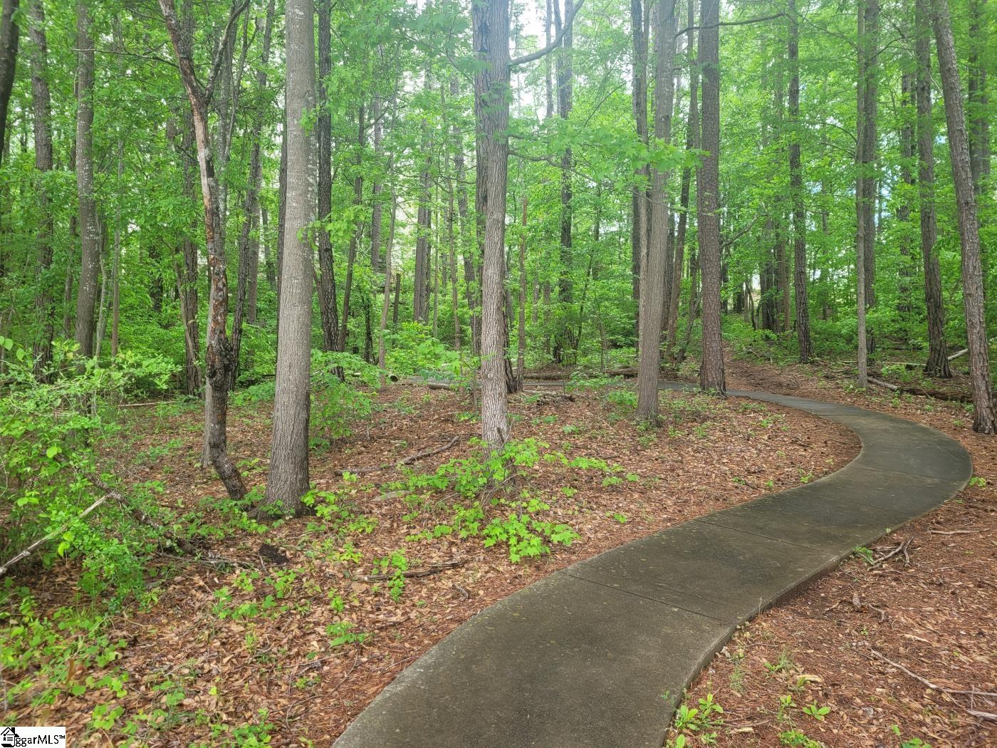 402 Lookover Drive Anderson, SC 29621