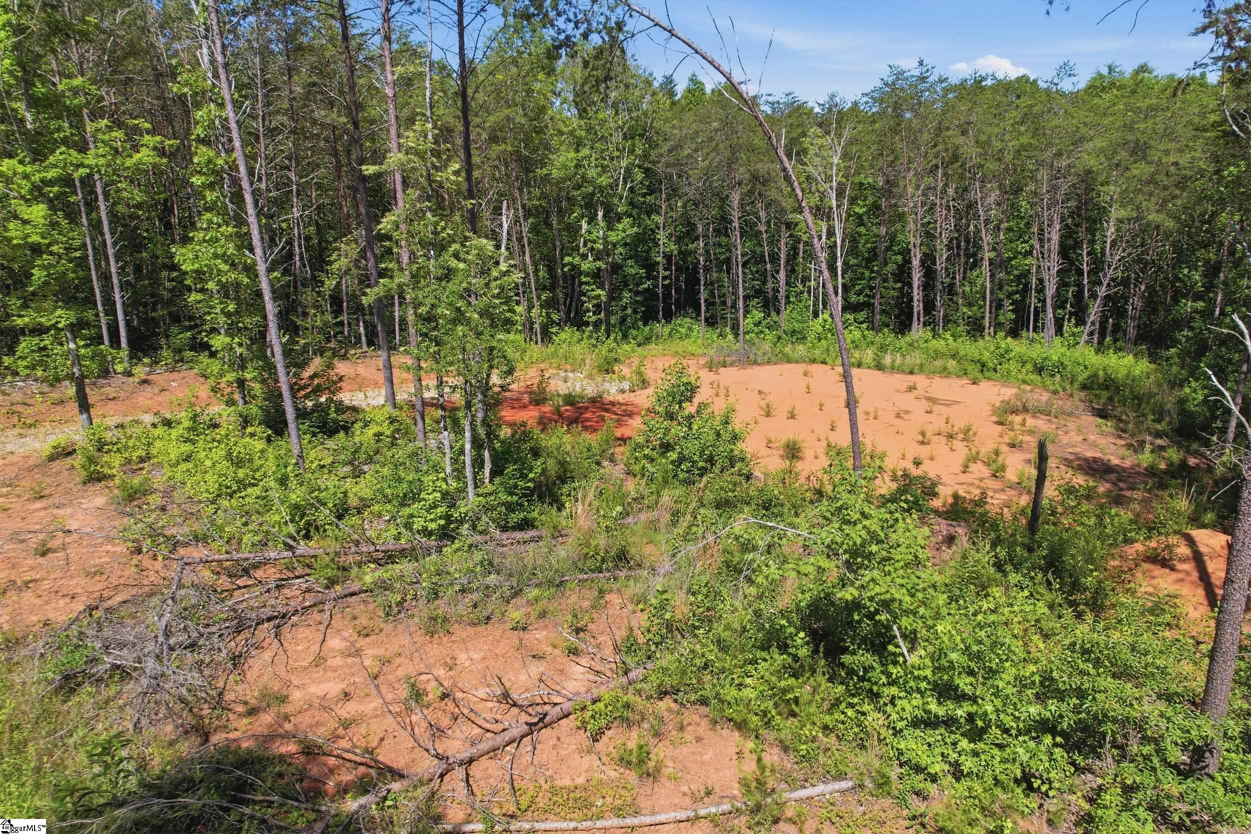 129 Tugaloo Road Landrum, SC 29356