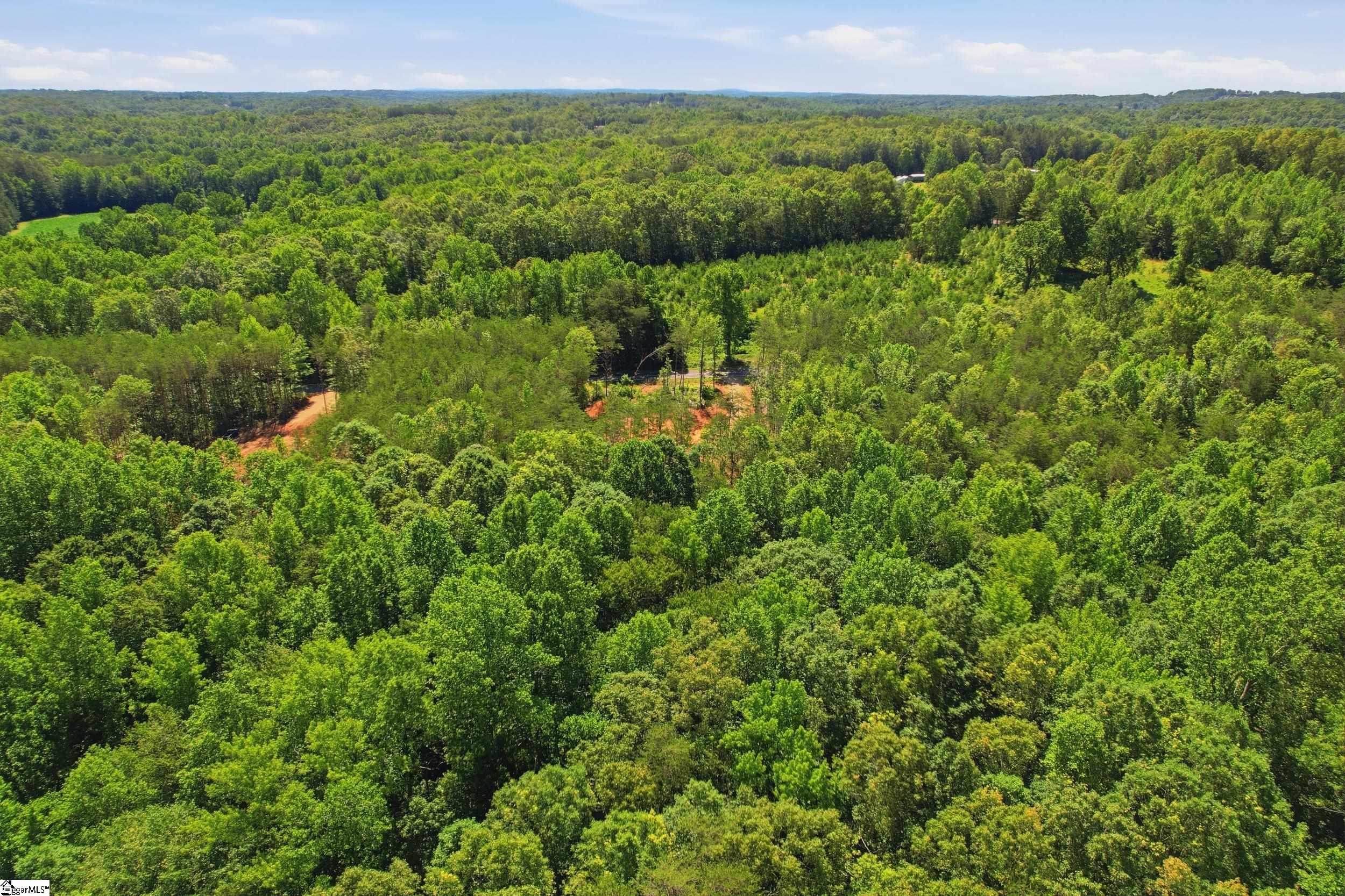 129 Tugaloo Road Landrum, SC 29356