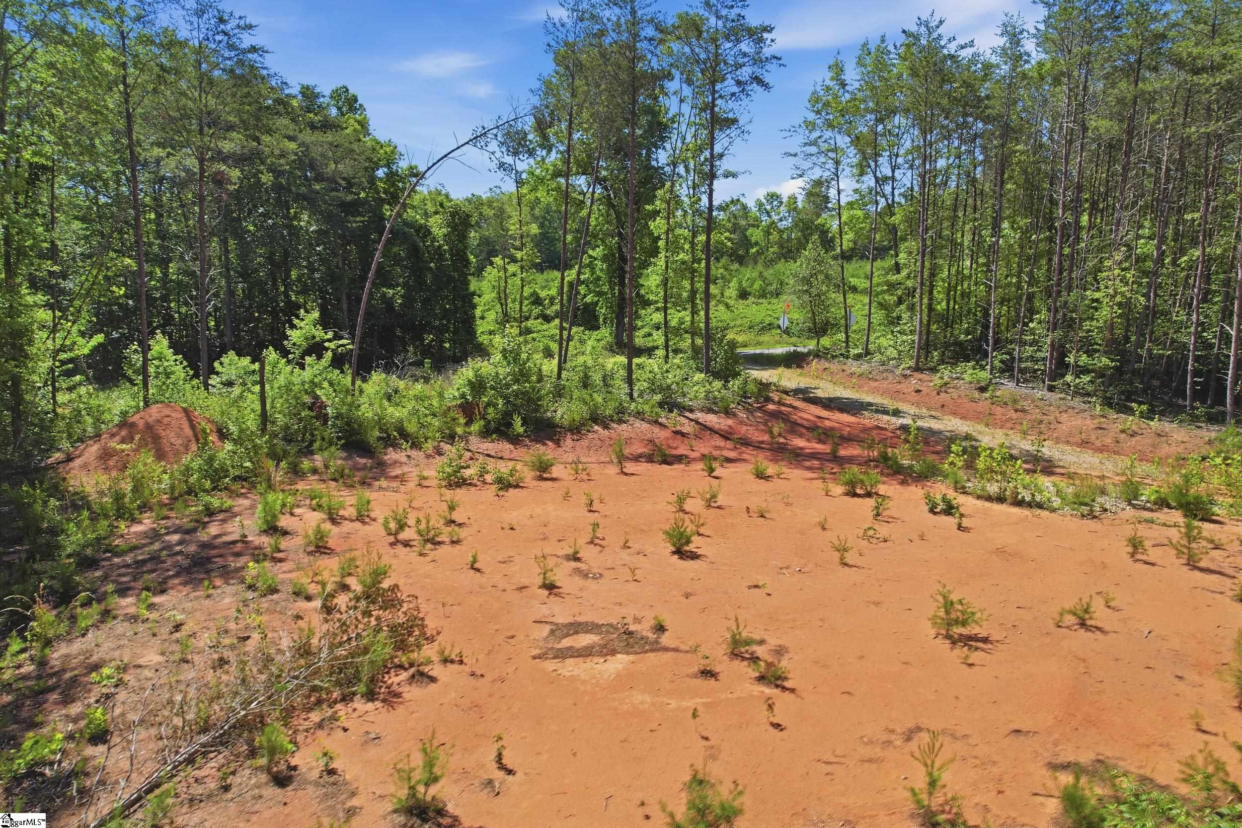129 Tugaloo Road Landrum, SC 29356