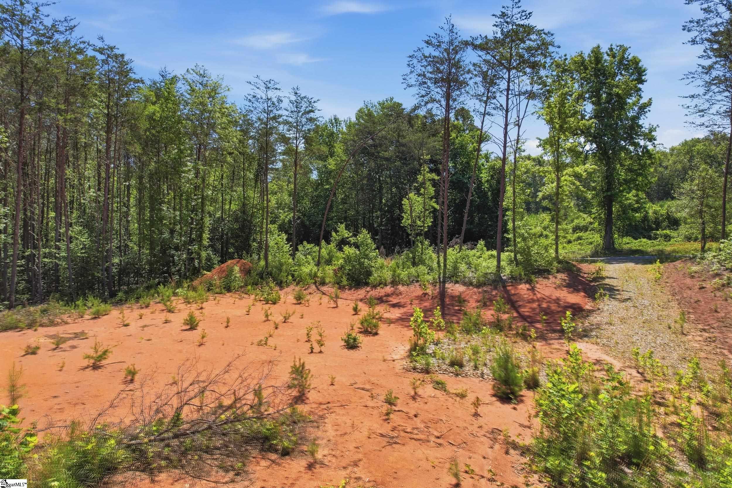 129 Tugaloo Road Landrum, SC 29356