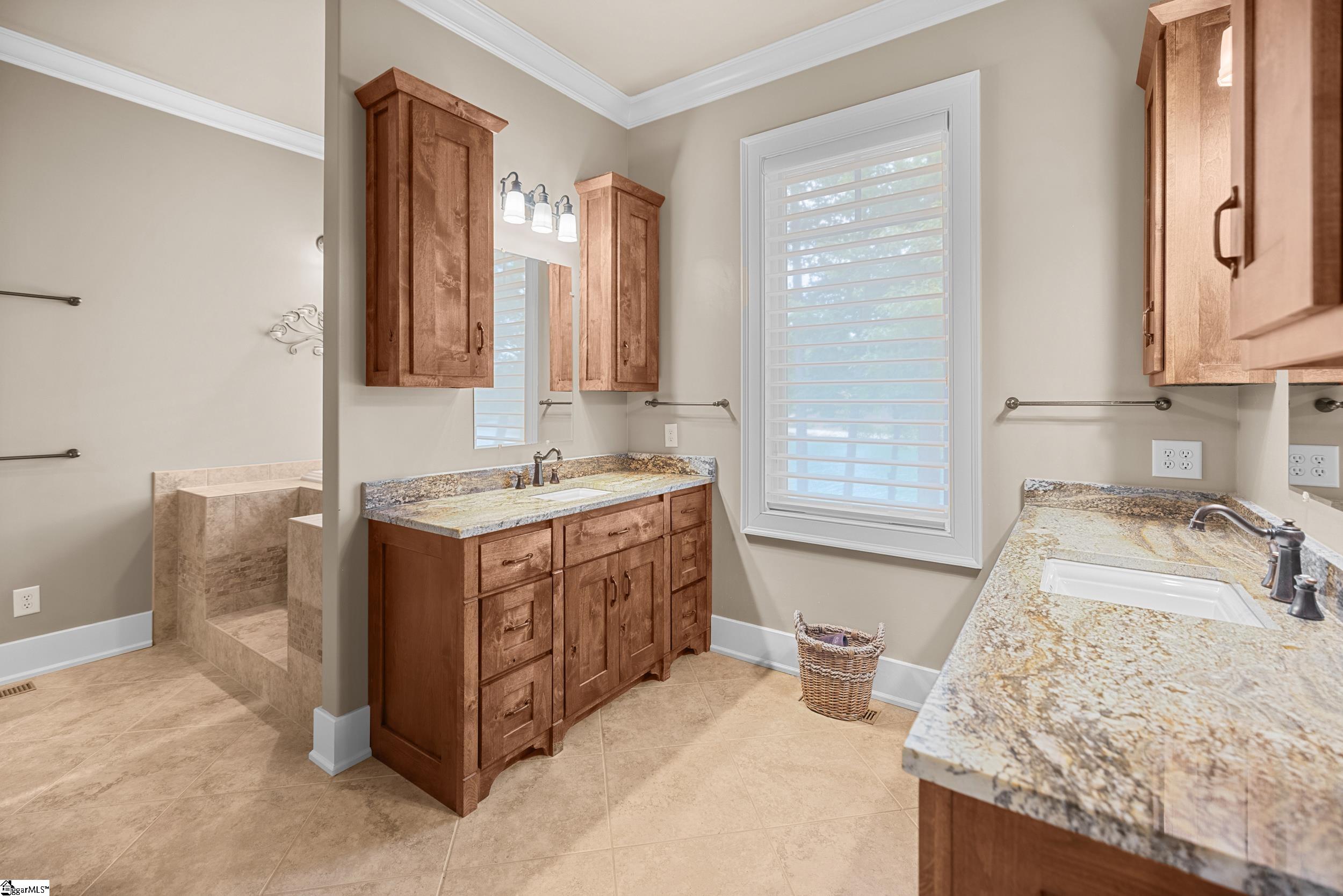 519 Birchbark Court UNIT Lot 214 Waterford Pointe Seneca, SC 29672