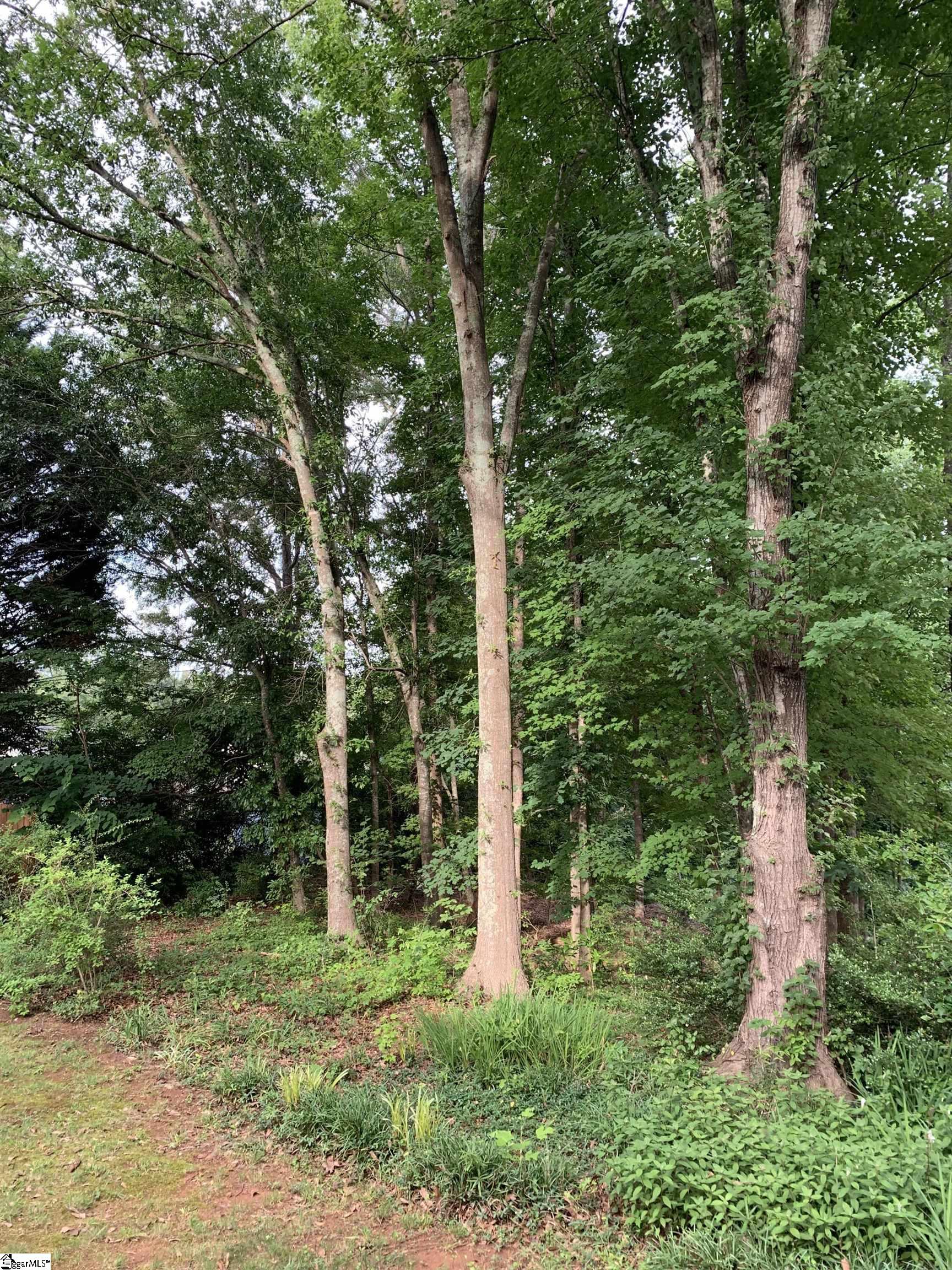 206 Mill Estate Road Taylors, SC 29687-5108