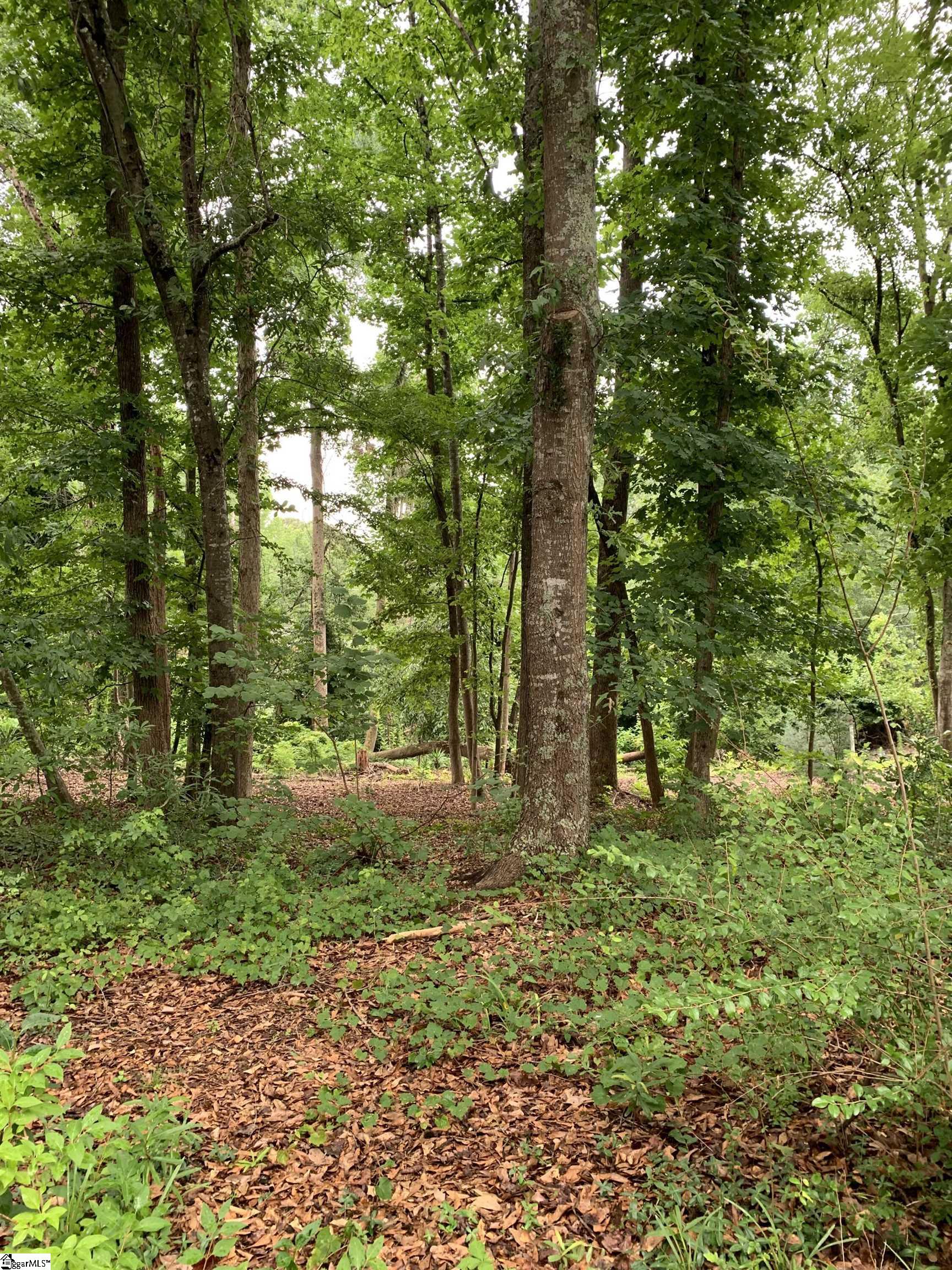 206 Mill Estate Road Taylors, SC 29687-5108