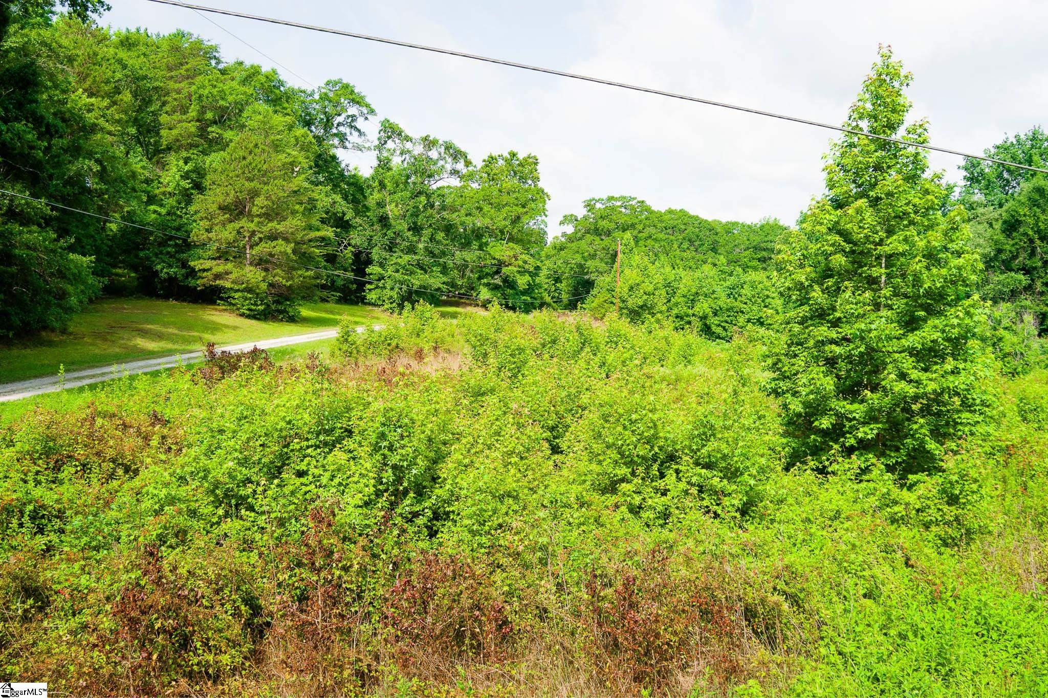 00 Hellams Road Gray Court, SC 29645