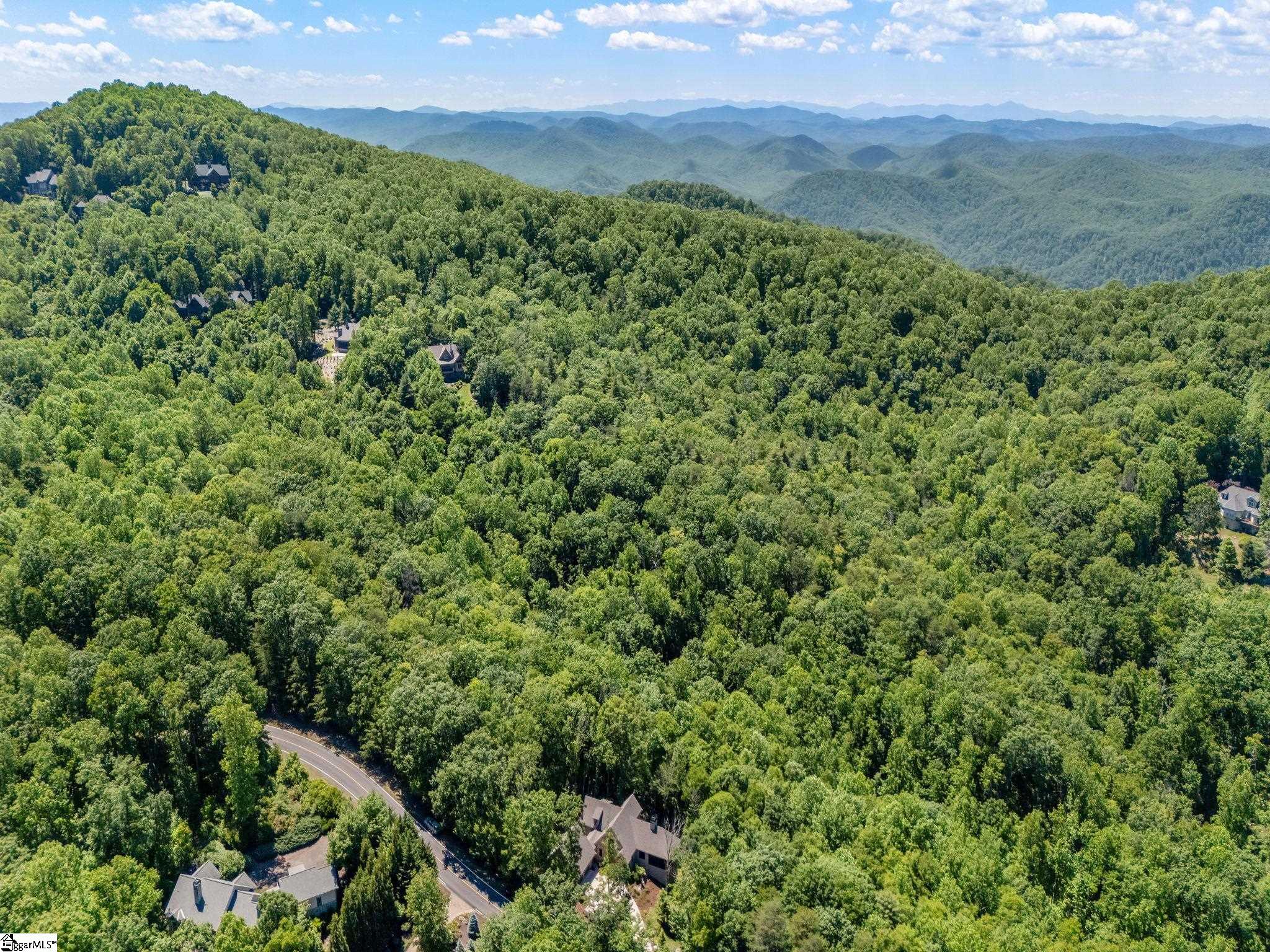 112 Blazing Star Trail Landrum, SC 29356
