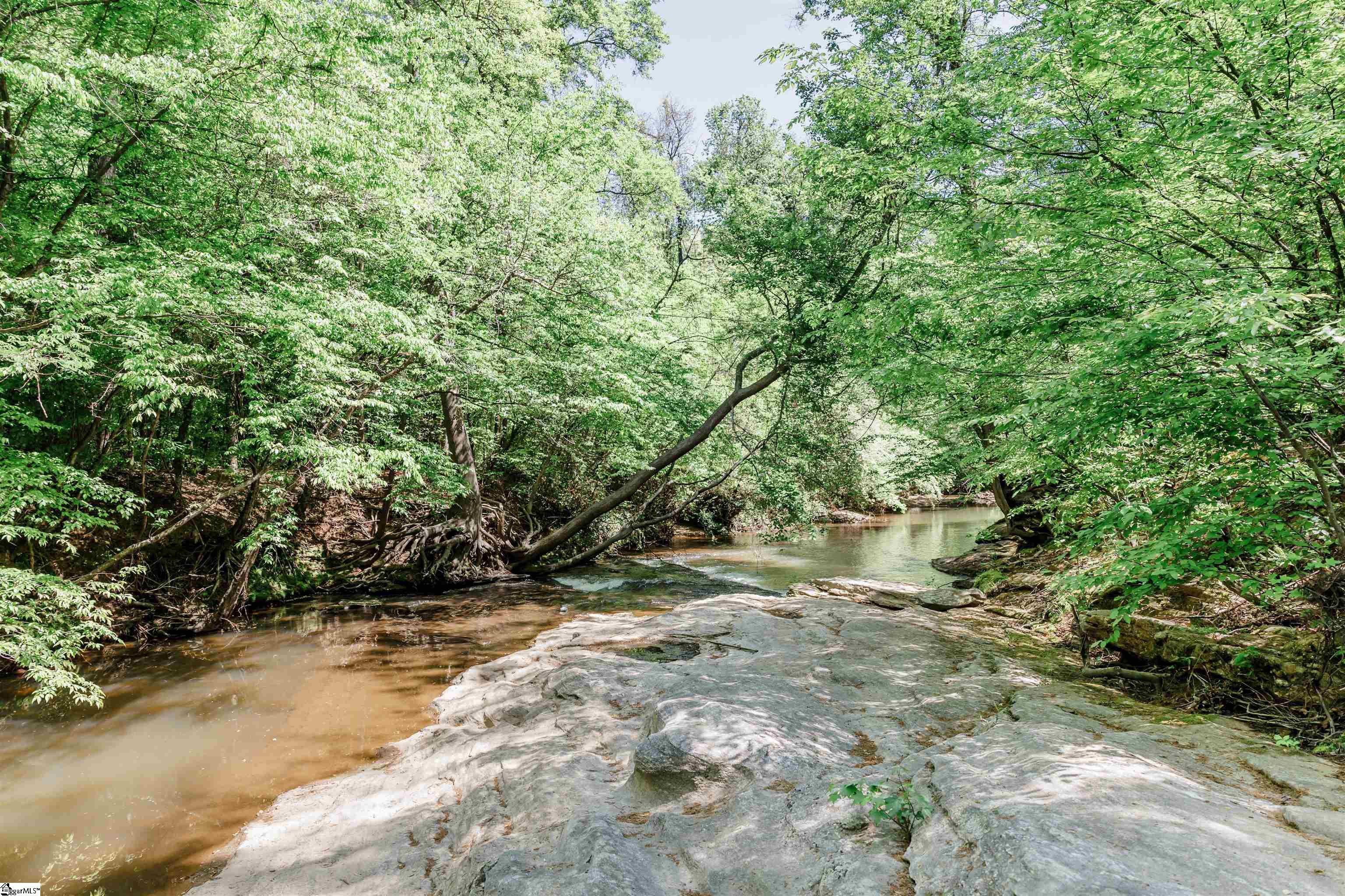 113 Waters Run Lane Simpsonville, SC 29681