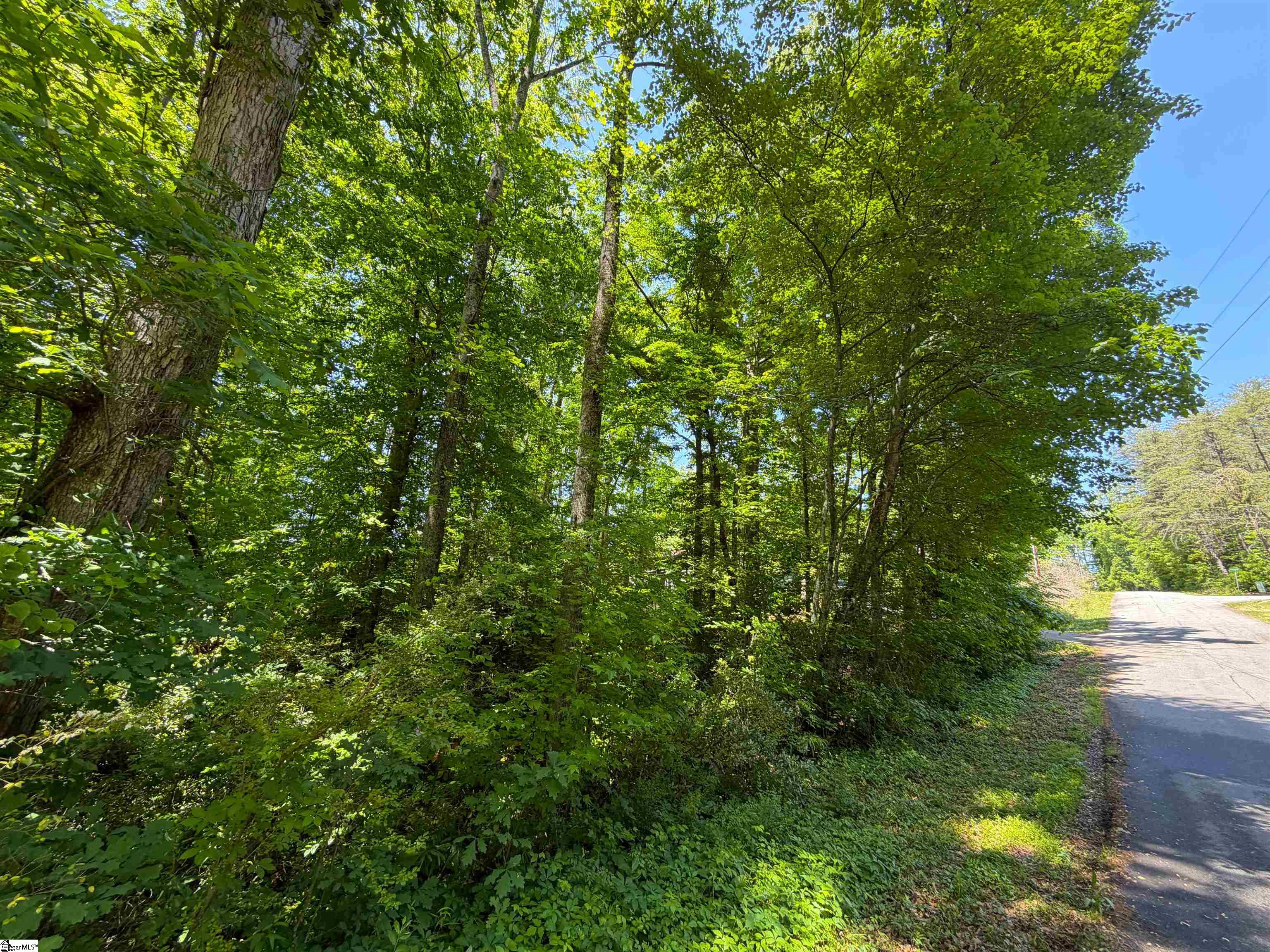 165 Tabor Street Central, SC 29630