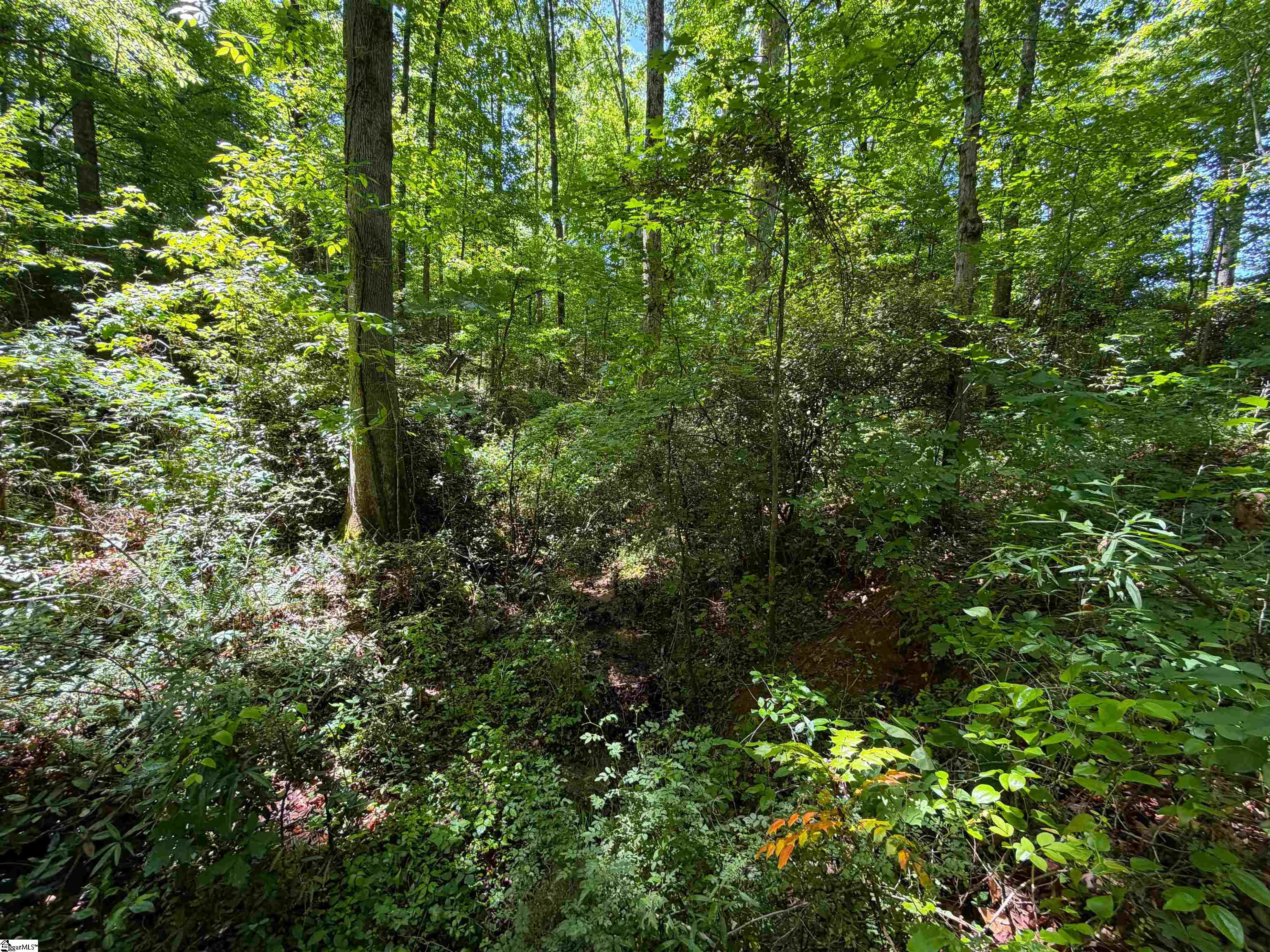 165 Tabor Street Central, SC 29630