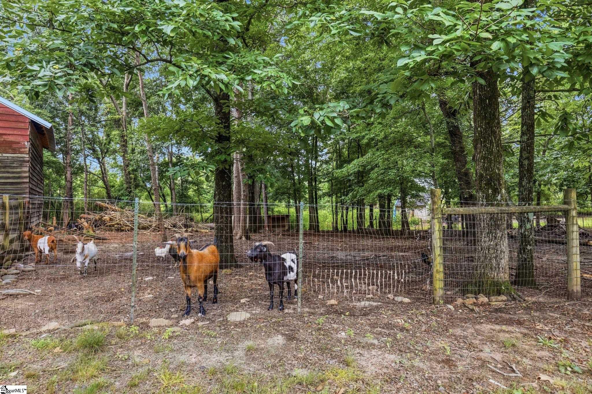 868 Bulls Road Taylors, SC 29687