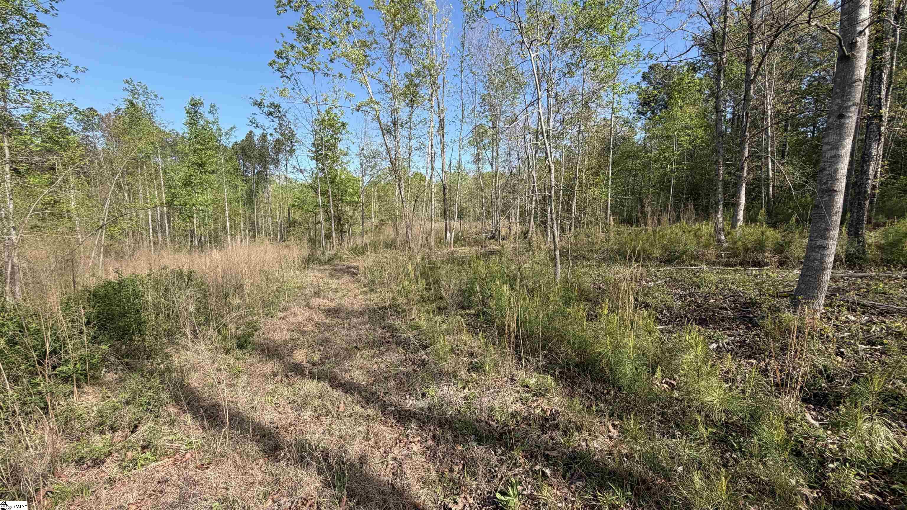 2125 Hwy 247 Belton, SC 29627