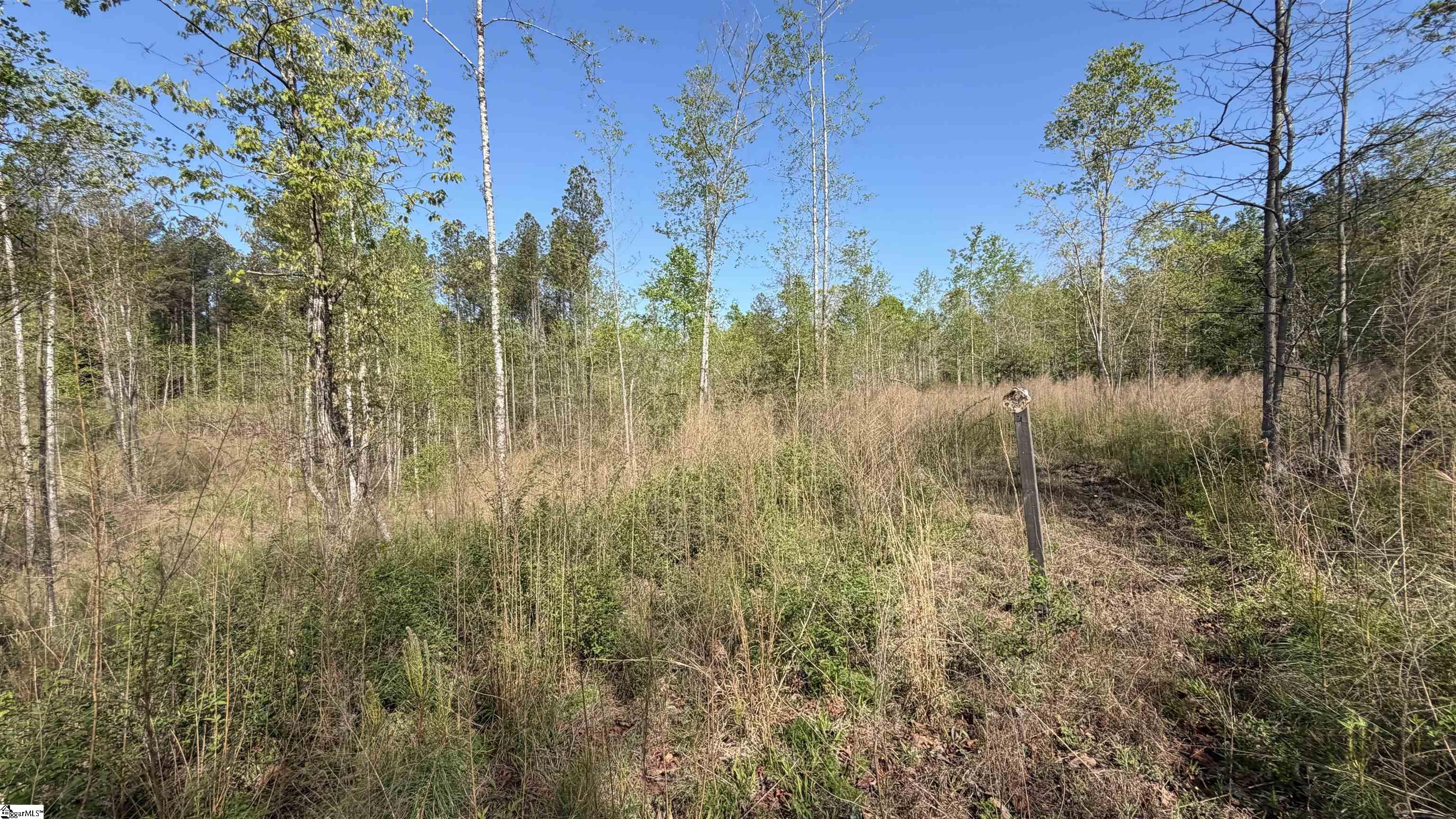 2125 Hwy 247 Belton, SC 29627