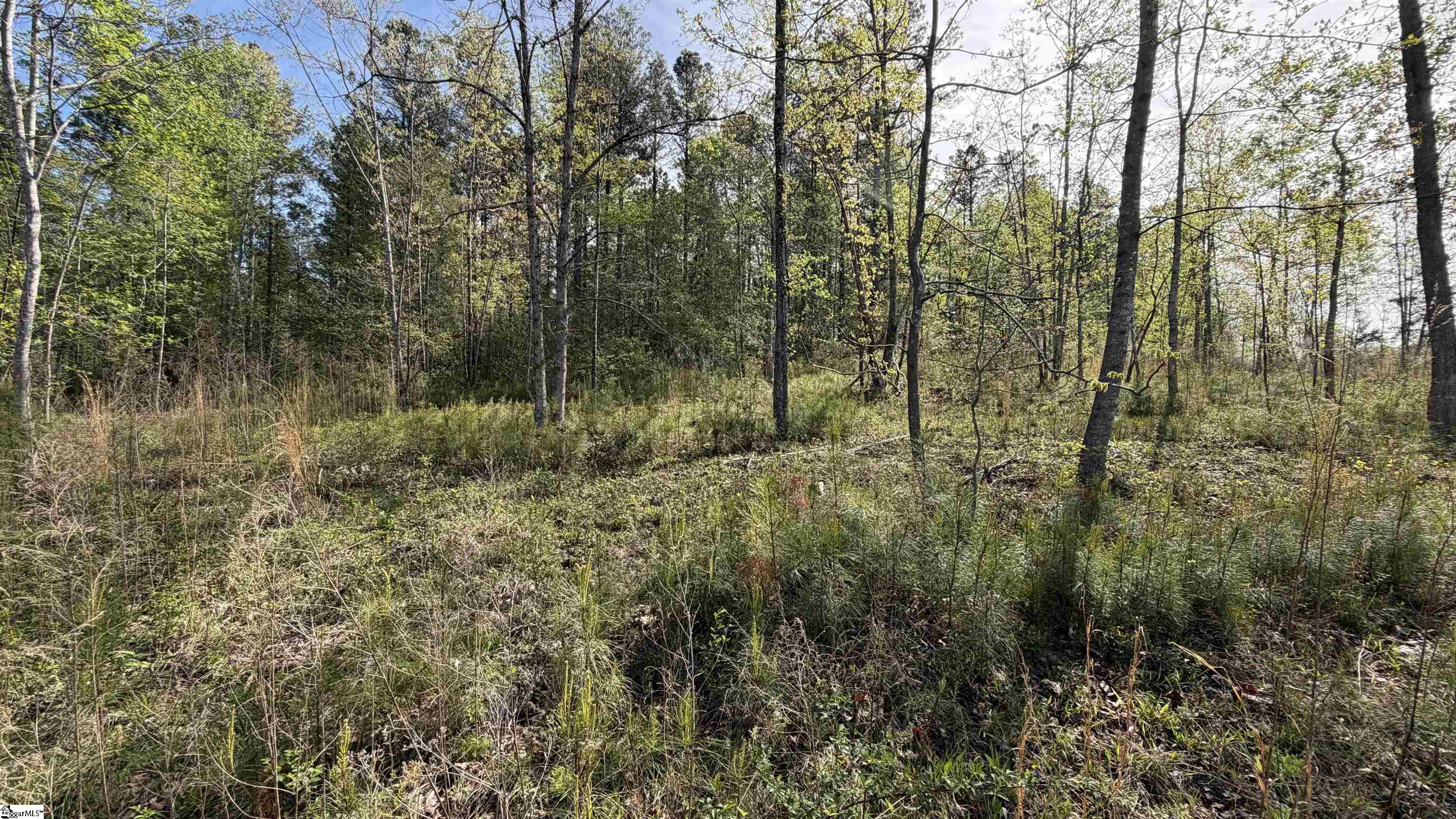 2125 Hwy 247 Belton, SC 29627