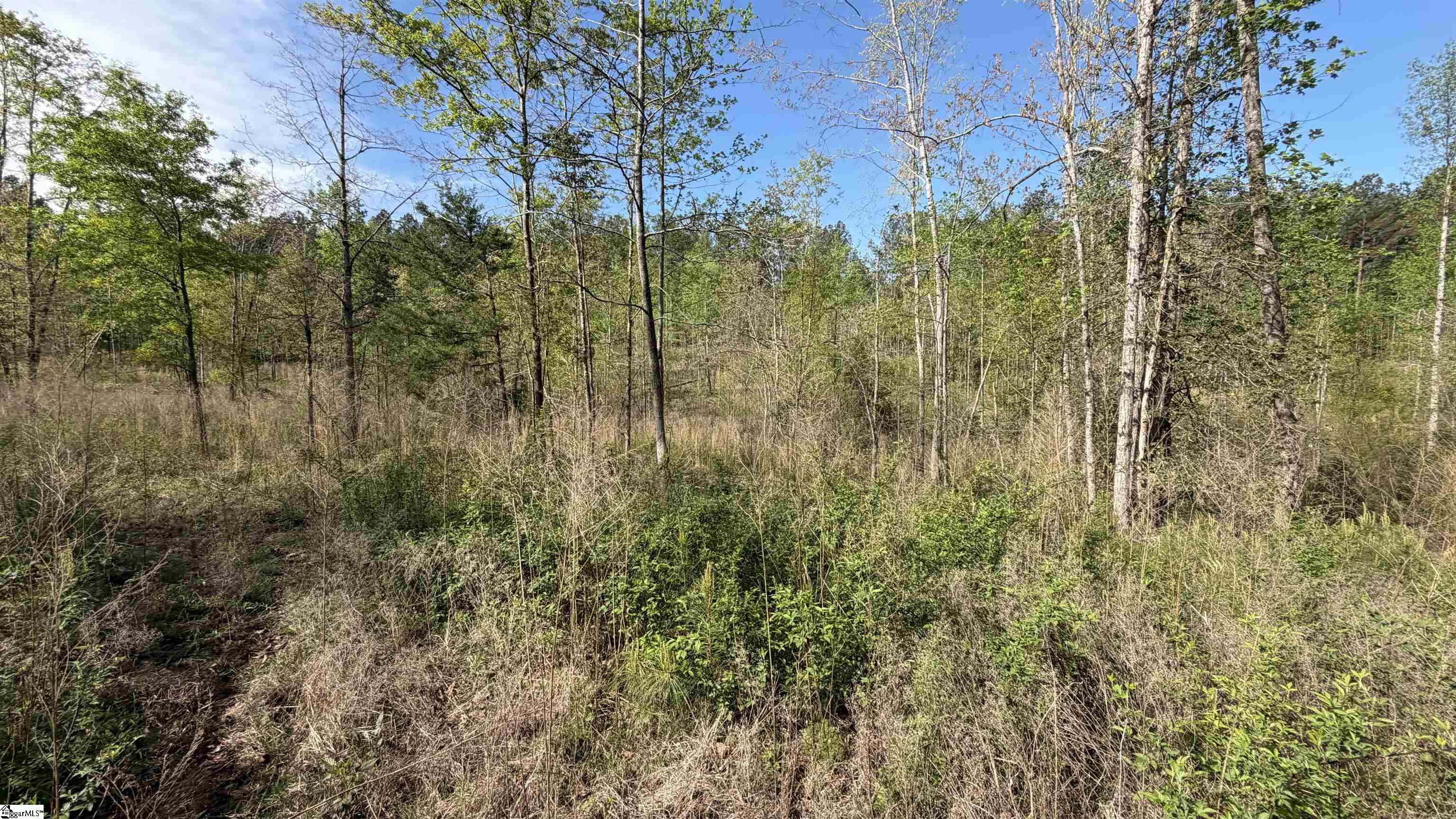 2125 Hwy 247 Belton, SC 29627