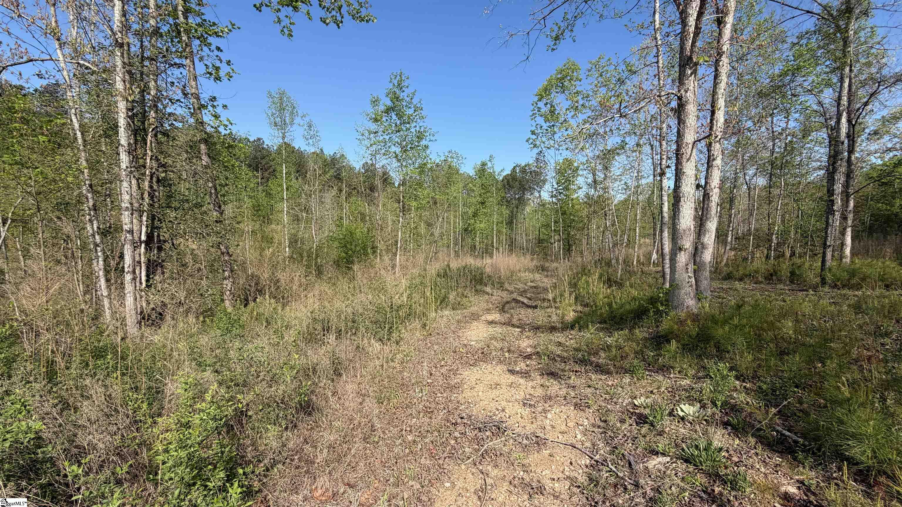2125 Hwy 247 Belton, SC 29627