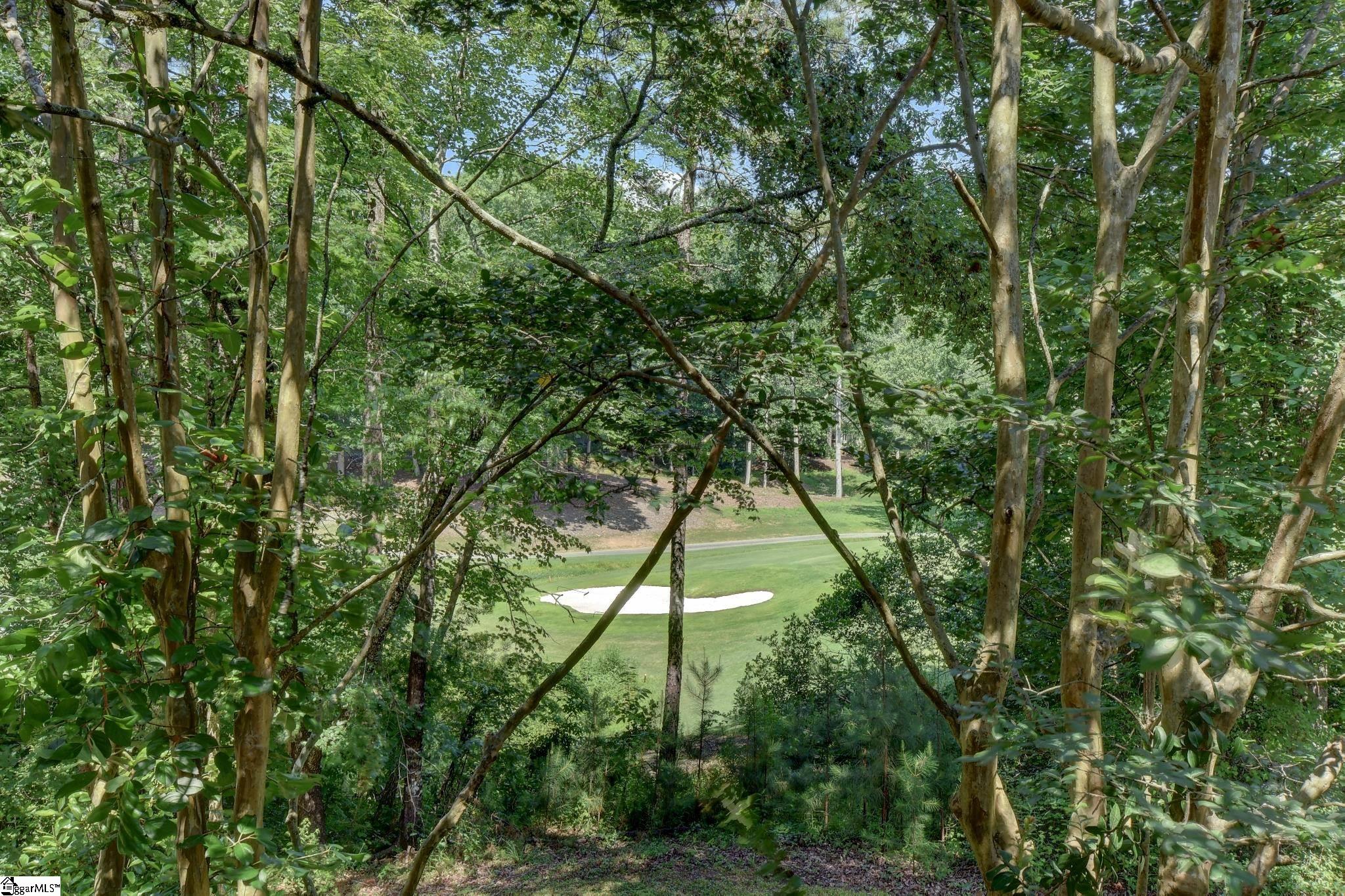 210 Harbor Cove Drive Salem, SC 29676