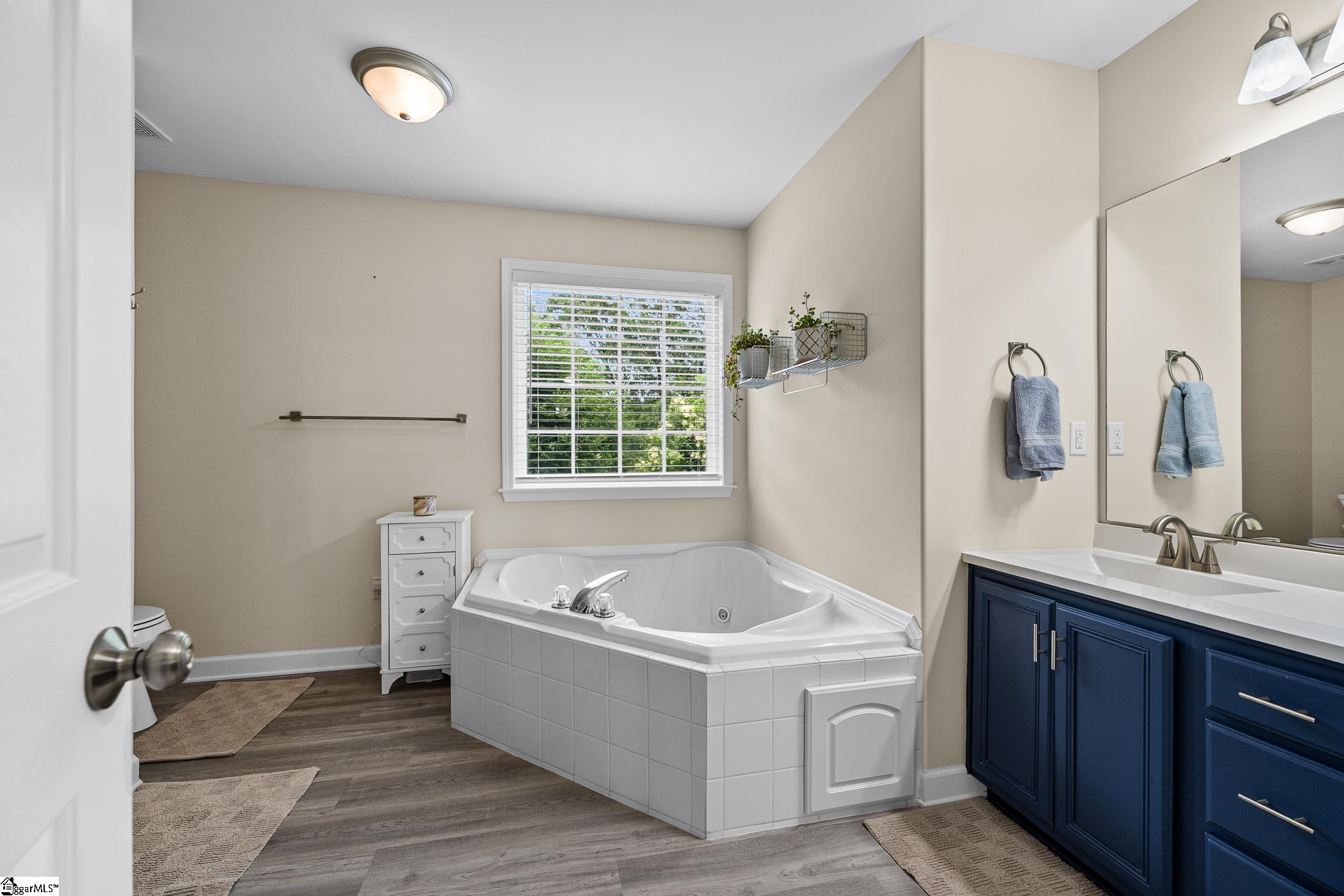 121 Steepleview Court Greer, SC 29651-1613
