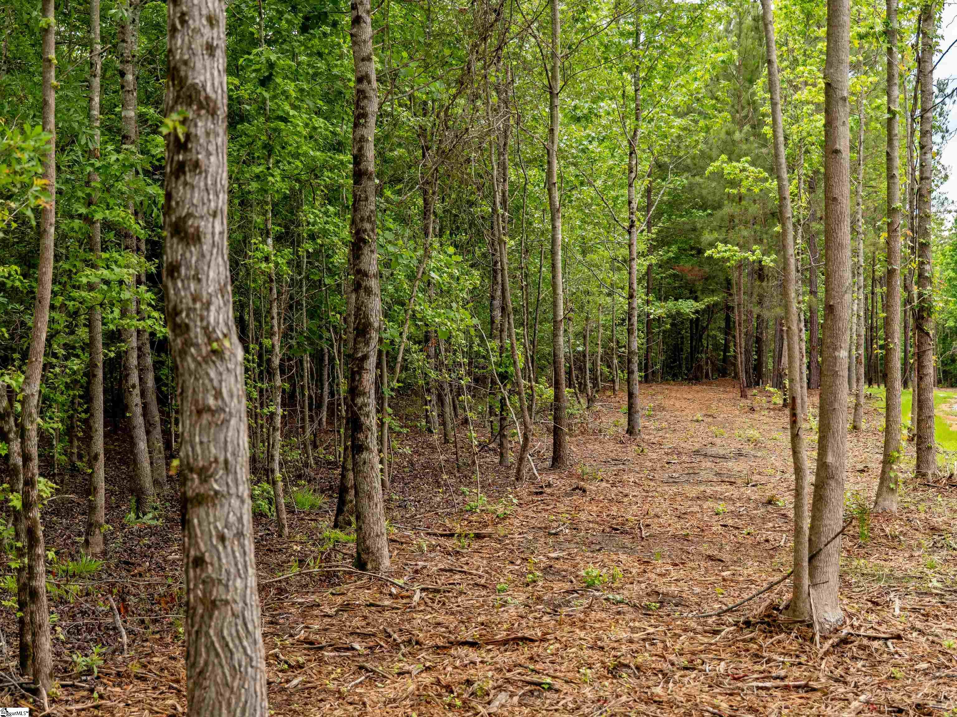 00 Terry Road UNIT Lot 1 Fountain Inn, SC 29644