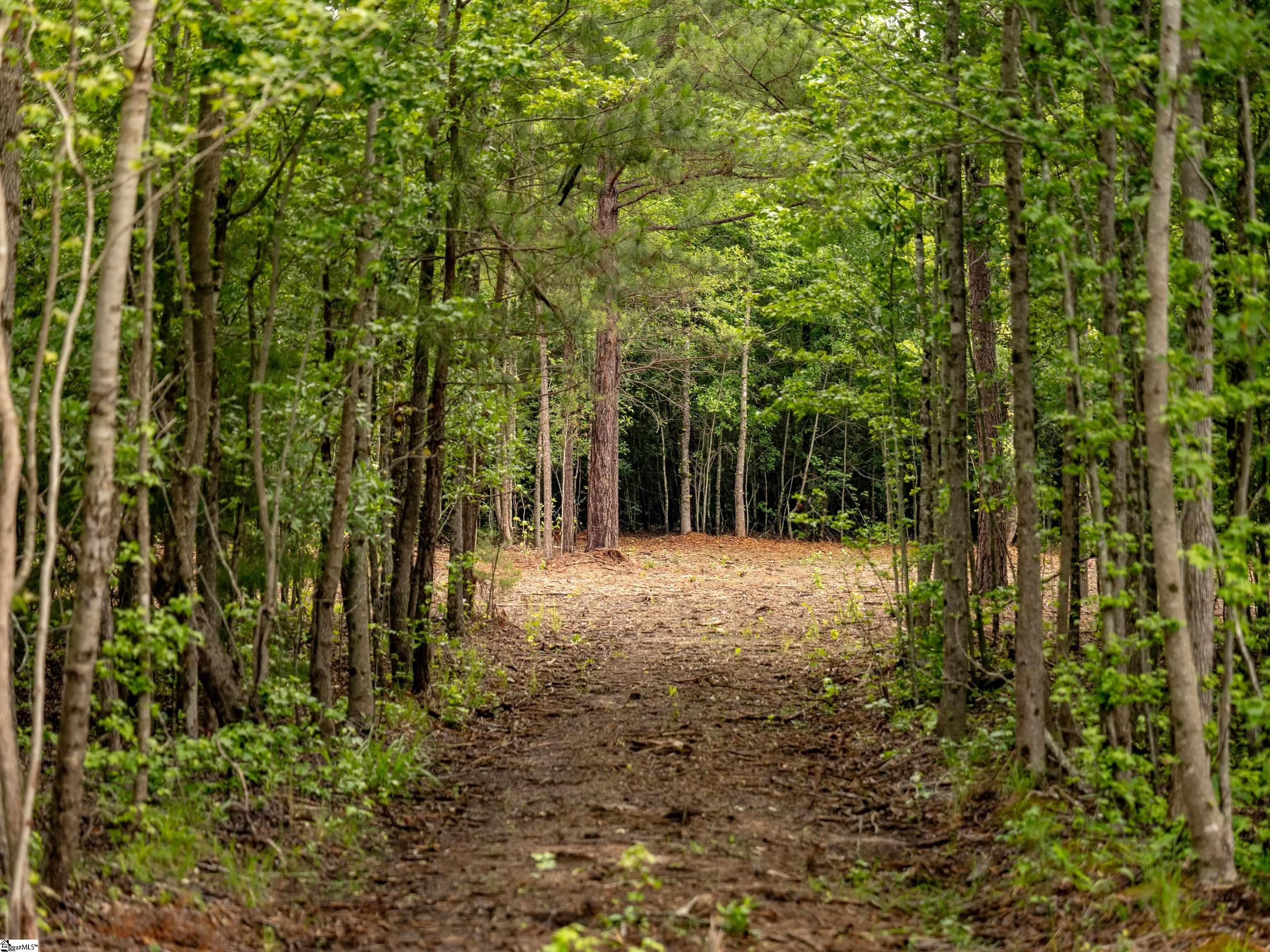 00 Terry Road UNIT Lot 1 Fountain Inn, SC 29644