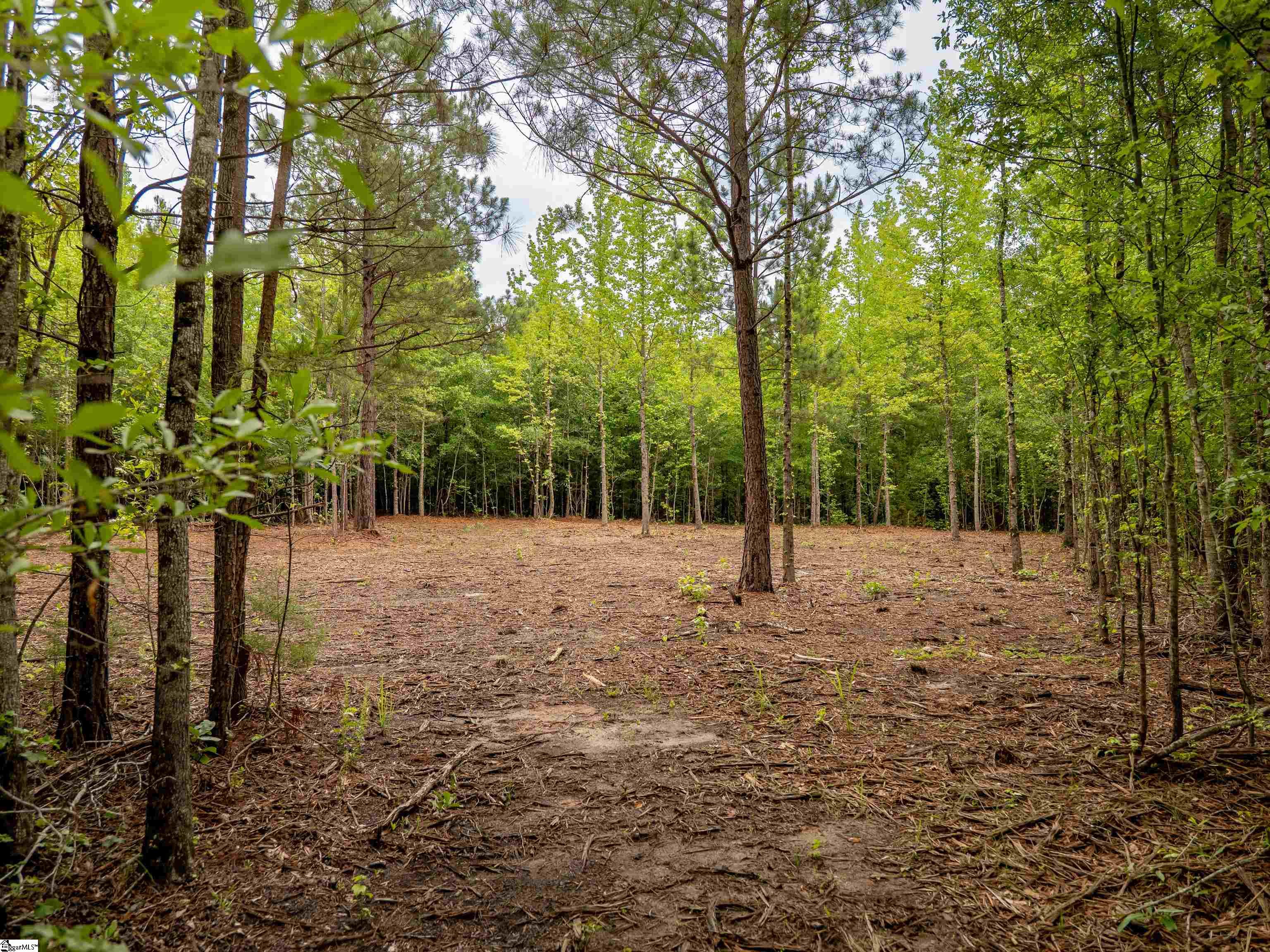 00 Terry Road UNIT Lot 1 Fountain Inn, SC 29644