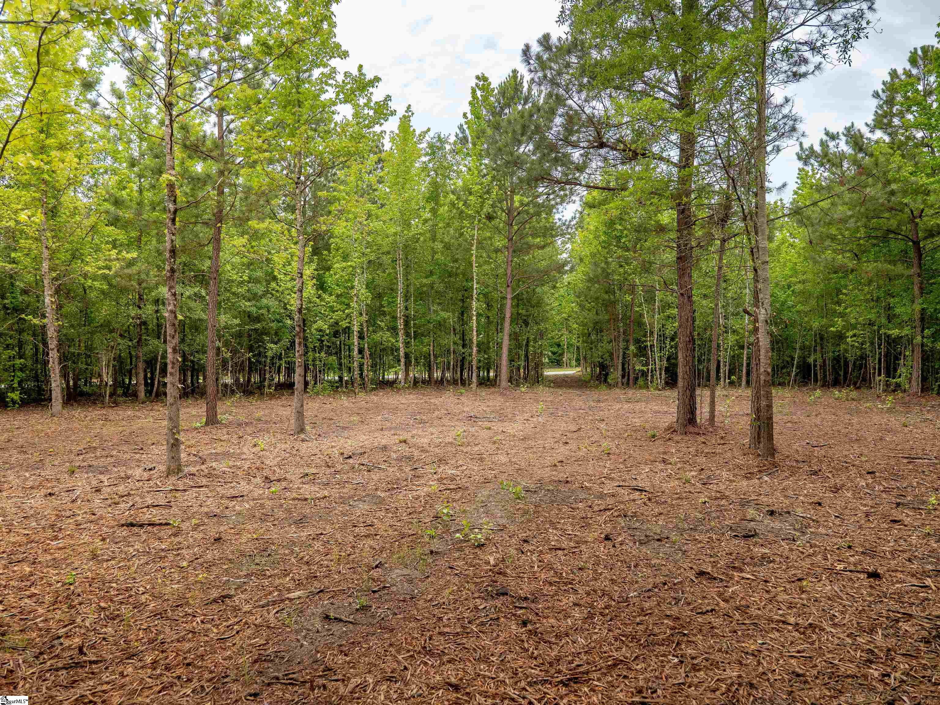 00 Terry Road UNIT Lot 1 Fountain Inn, SC 29644