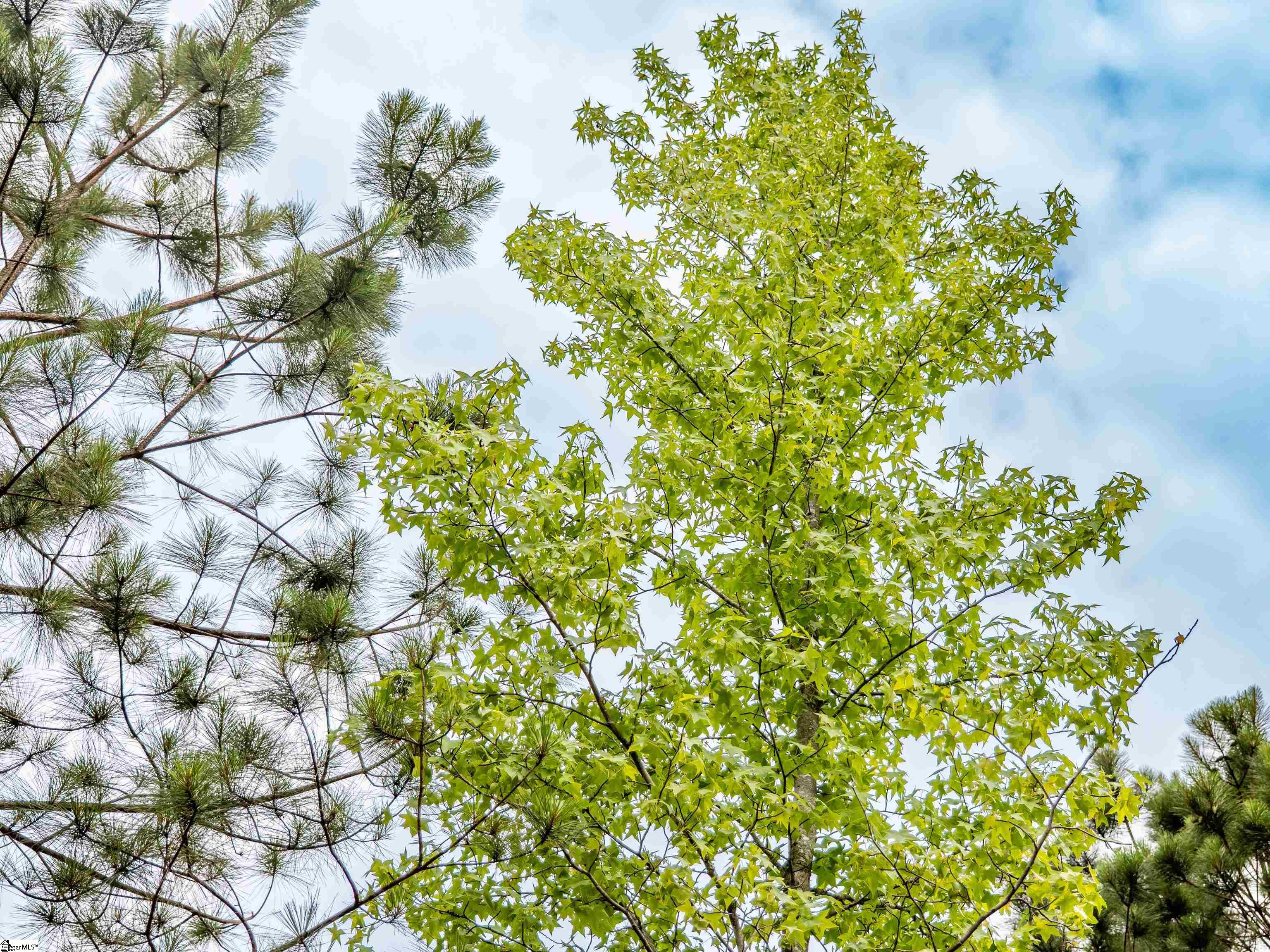 00 Terry Road UNIT Lot 1 Fountain Inn, SC 29644