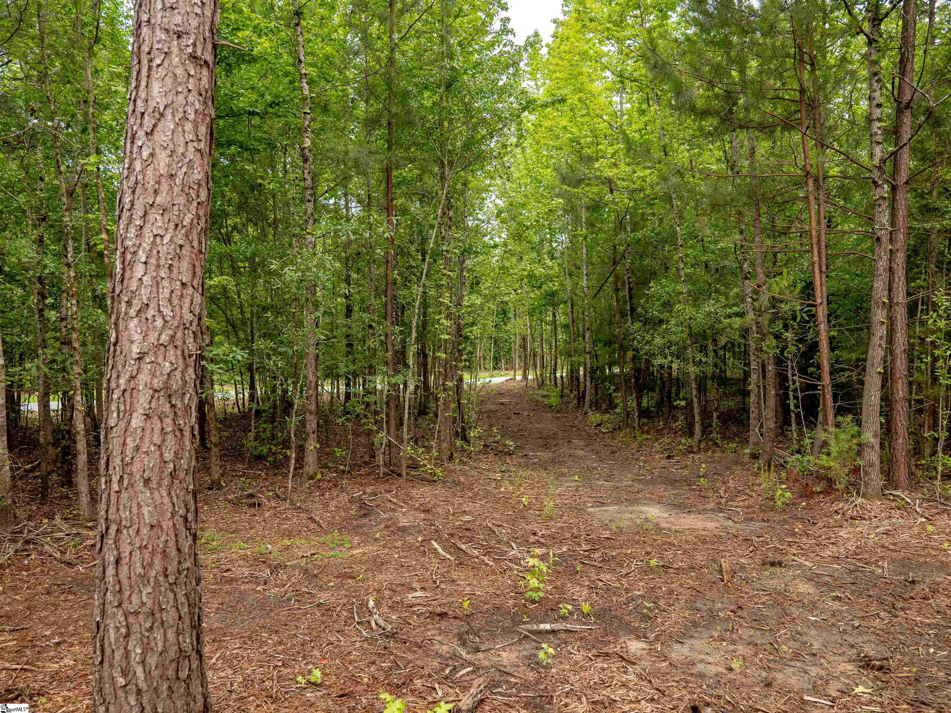 00 Terry Road UNIT Lot 1 Fountain Inn, SC 29644