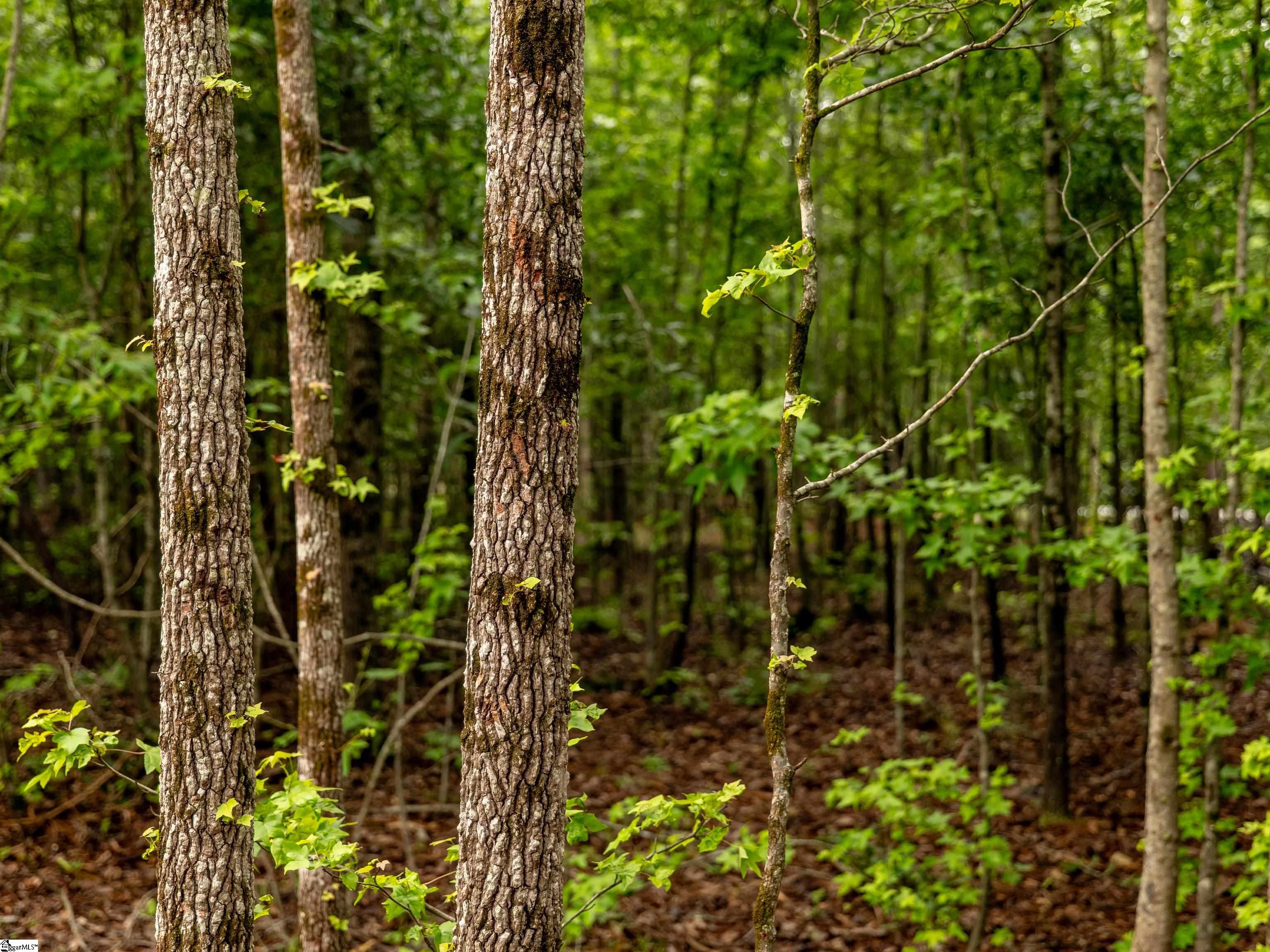 00 Terry Road UNIT Lot 1 Fountain Inn, SC 29644