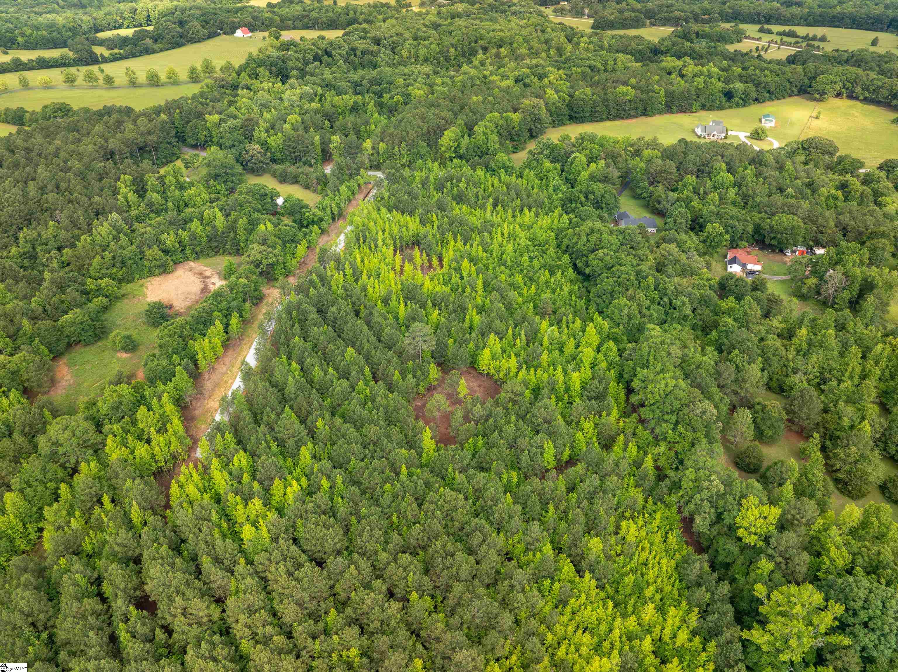 00 Terry Road UNIT Lot 1 Fountain Inn, SC 29644