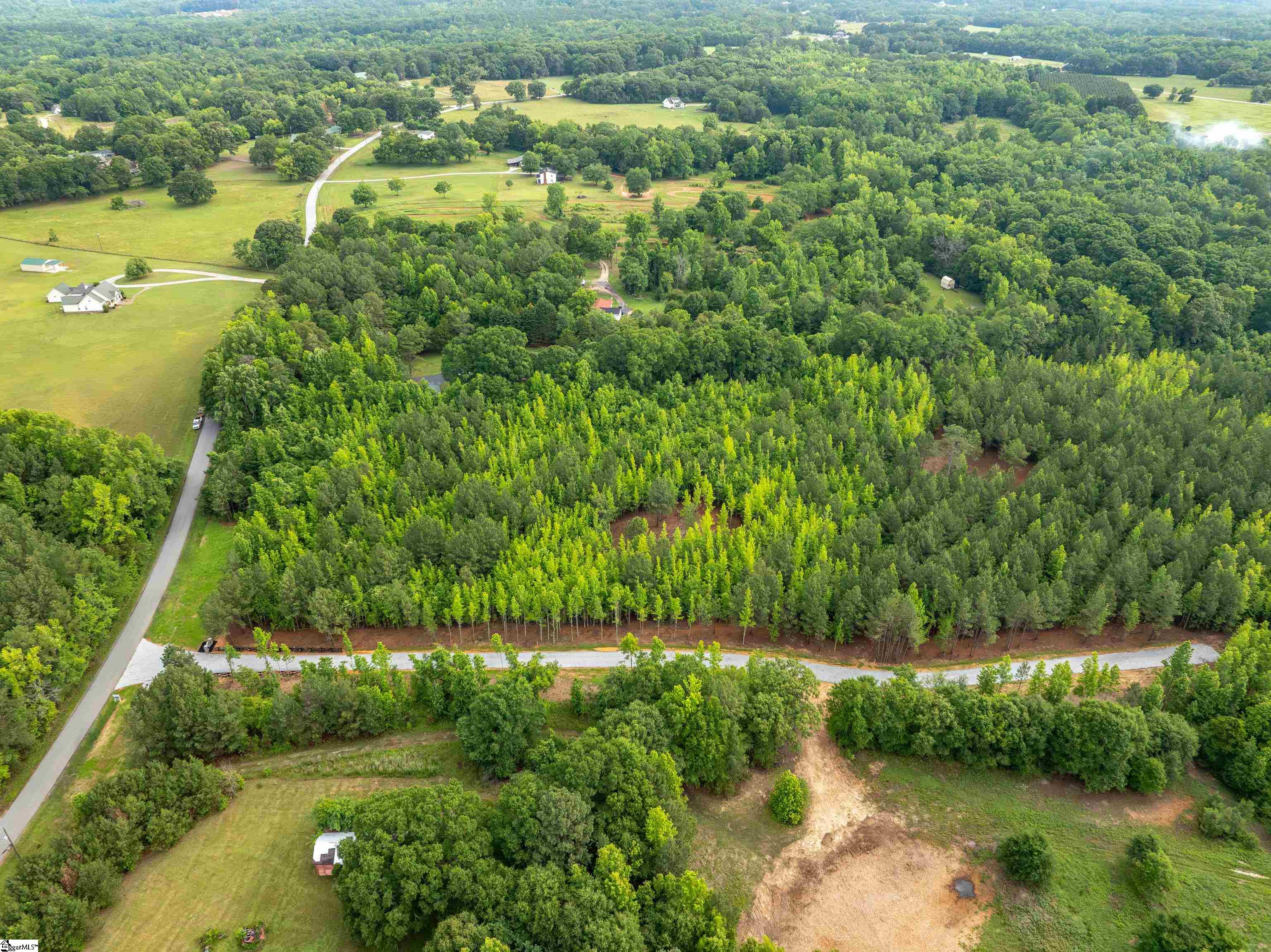 00 Terry Road UNIT Lot 1 Fountain Inn, SC 29644
