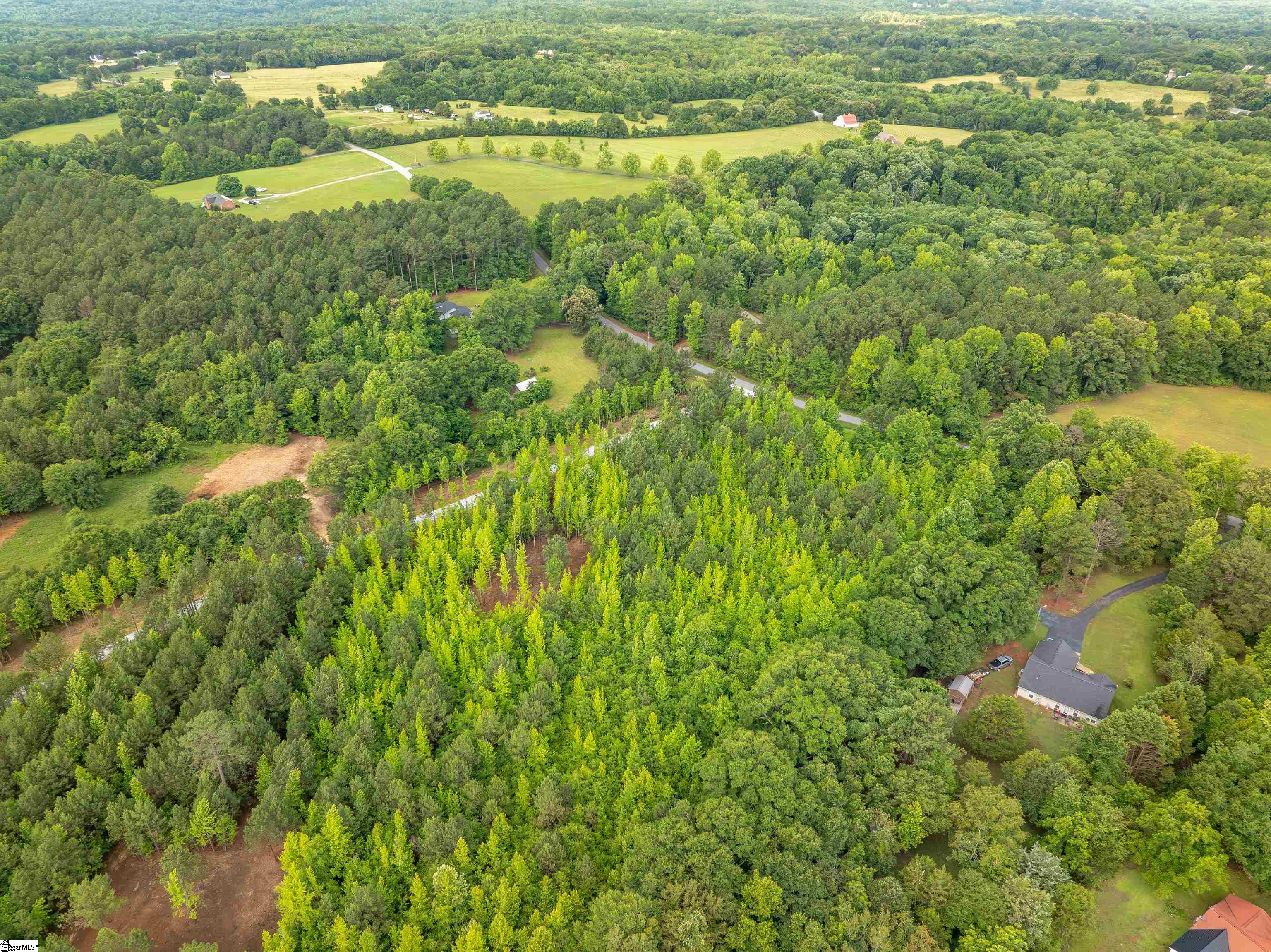 00 Terry Road UNIT Lot 1 Fountain Inn, SC 29644