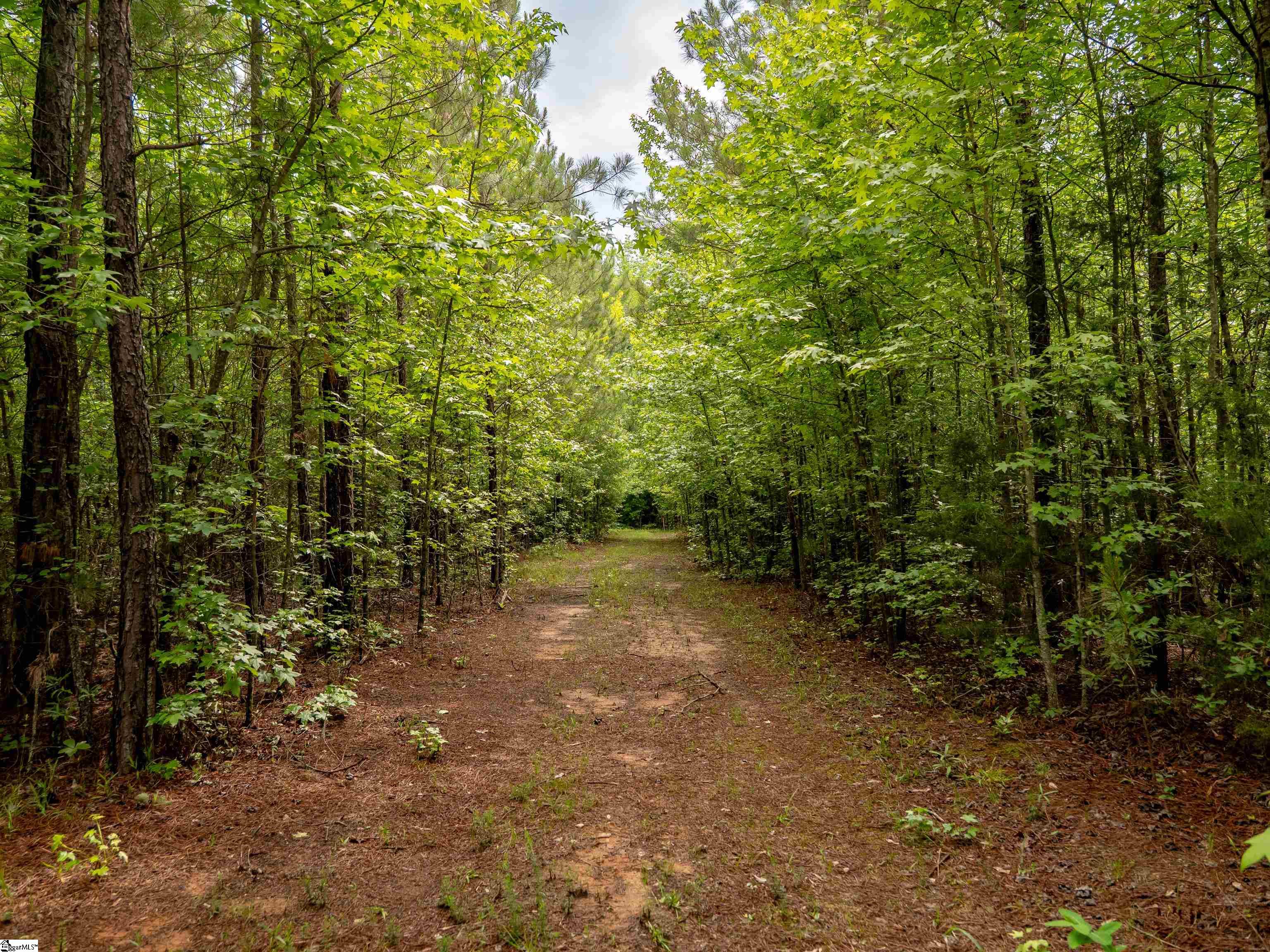 00 Terry Road UNIT Lot 2 Fountain Inn, SC 29644