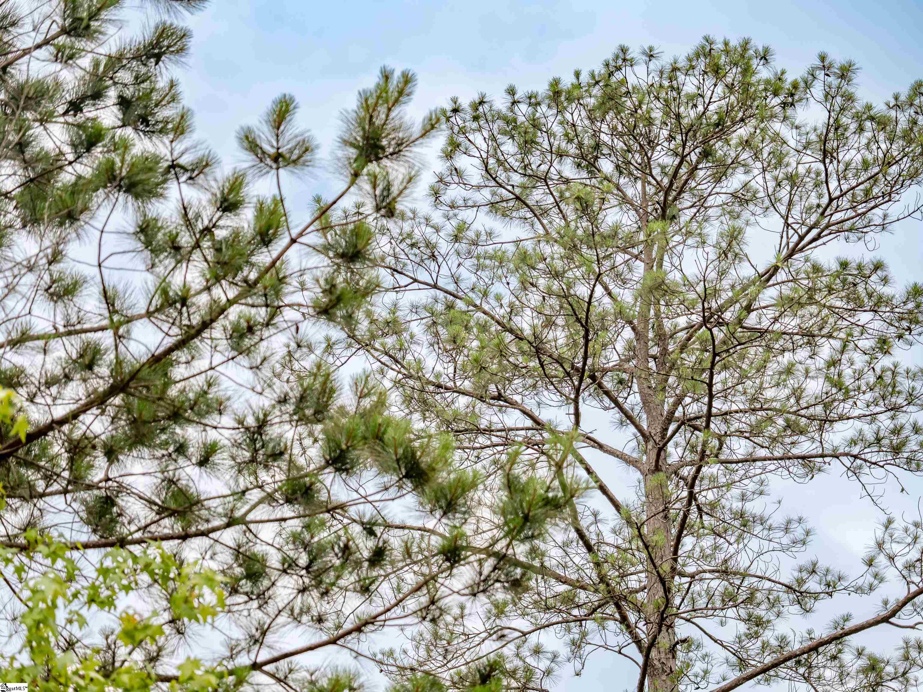 00 Terry Road UNIT Lot 2 Fountain Inn, SC 29644