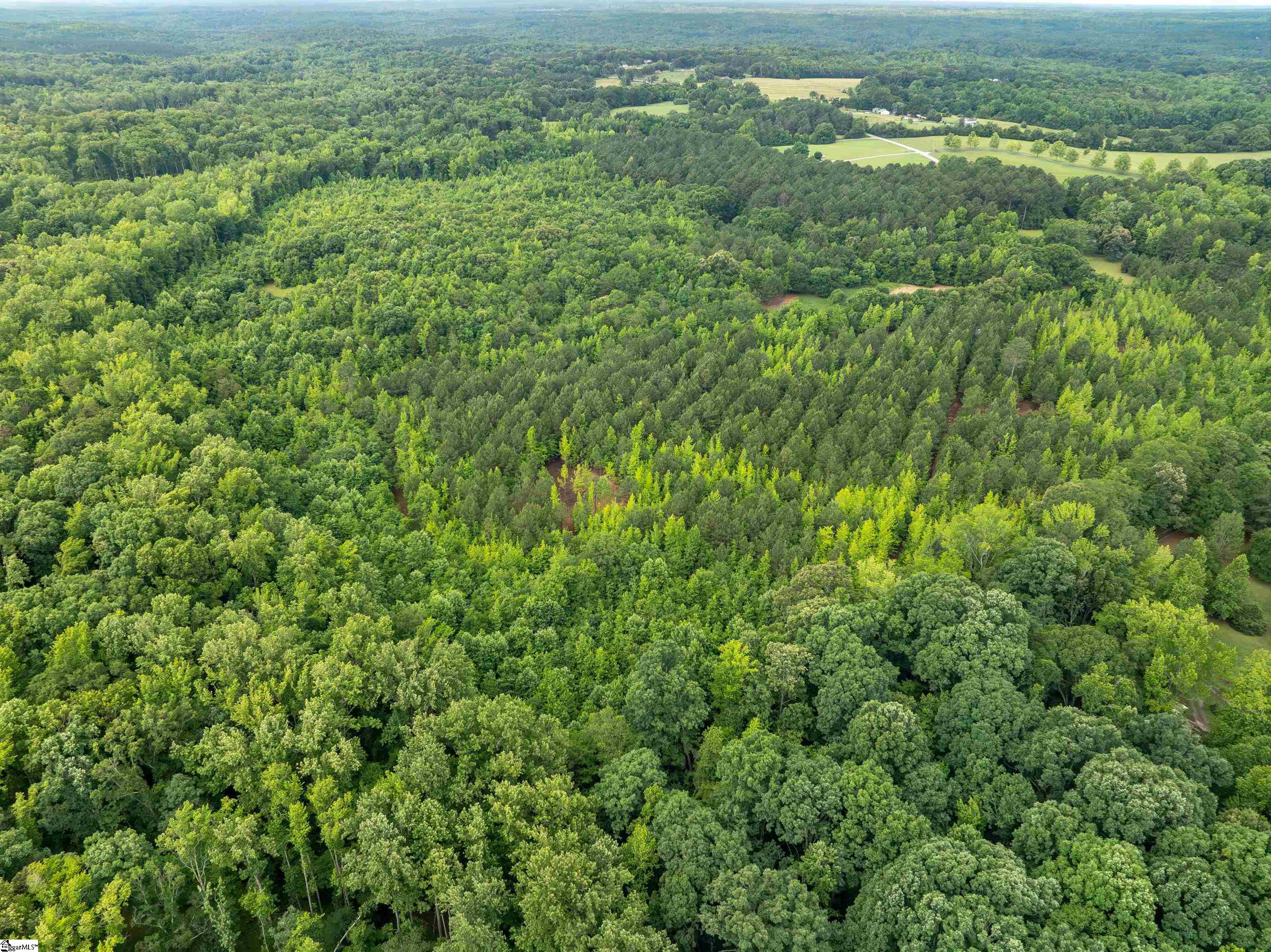 00 Terry Road UNIT Lot 3 Fountain Inn, SC 29644