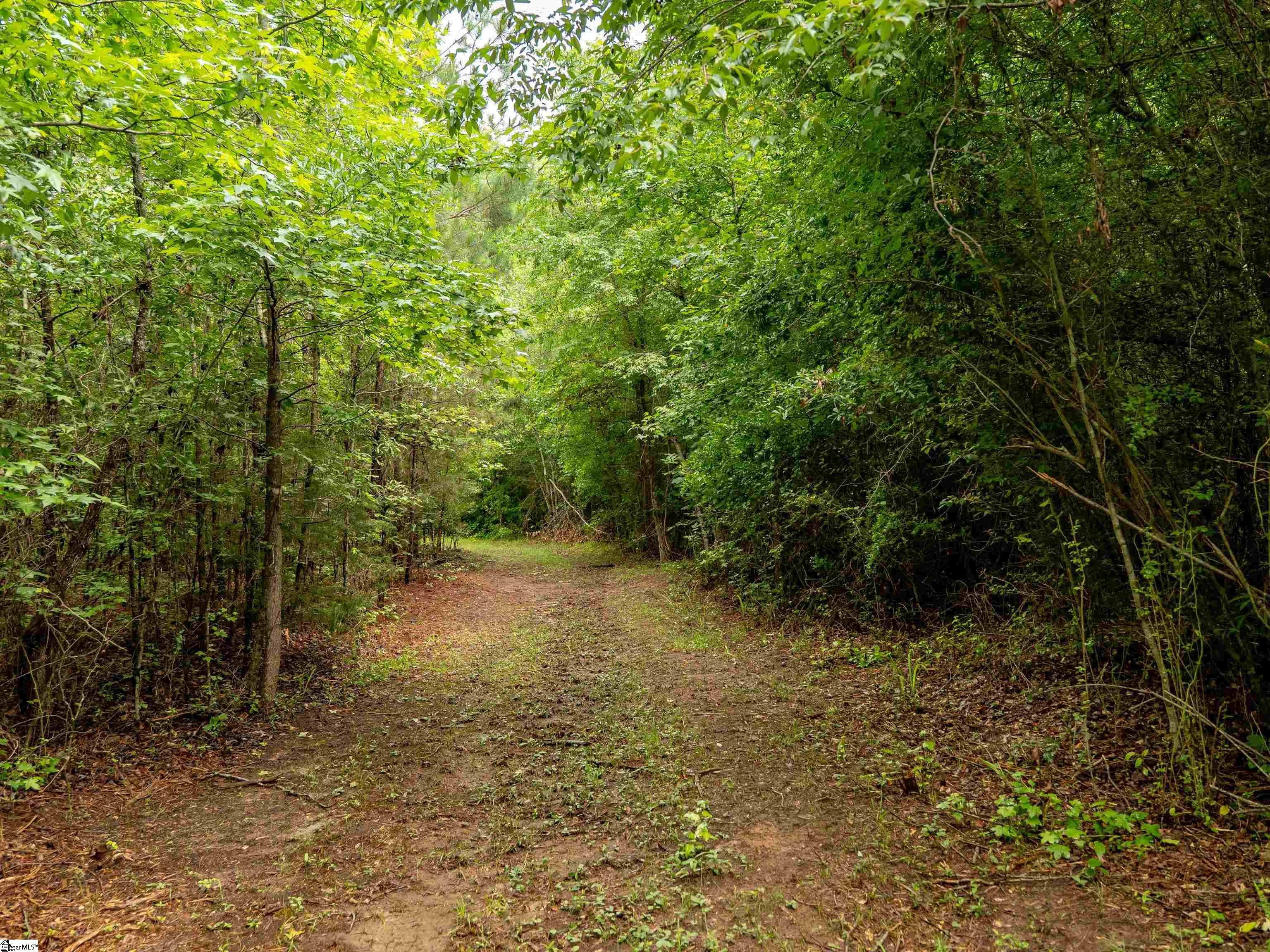 00 Terry Road UNIT Lot 3 Fountain Inn, SC 29644