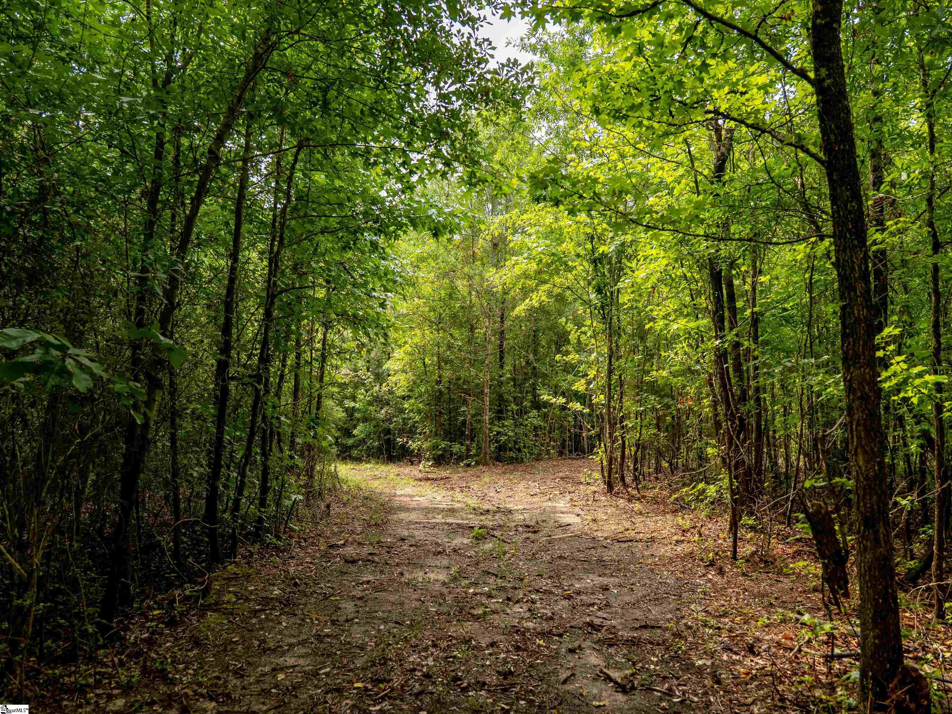 00 Terry Road UNIT Lot 3 Fountain Inn, SC 29644