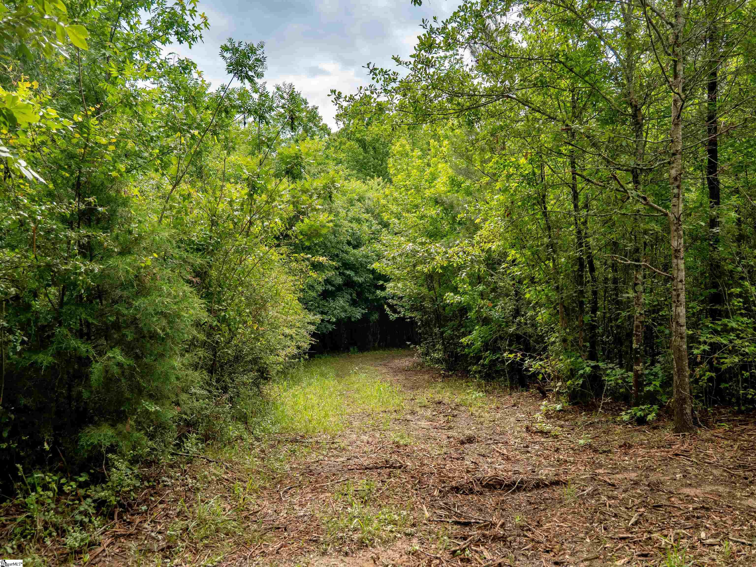 00 Terry Road UNIT Lot 3 Fountain Inn, SC 29644