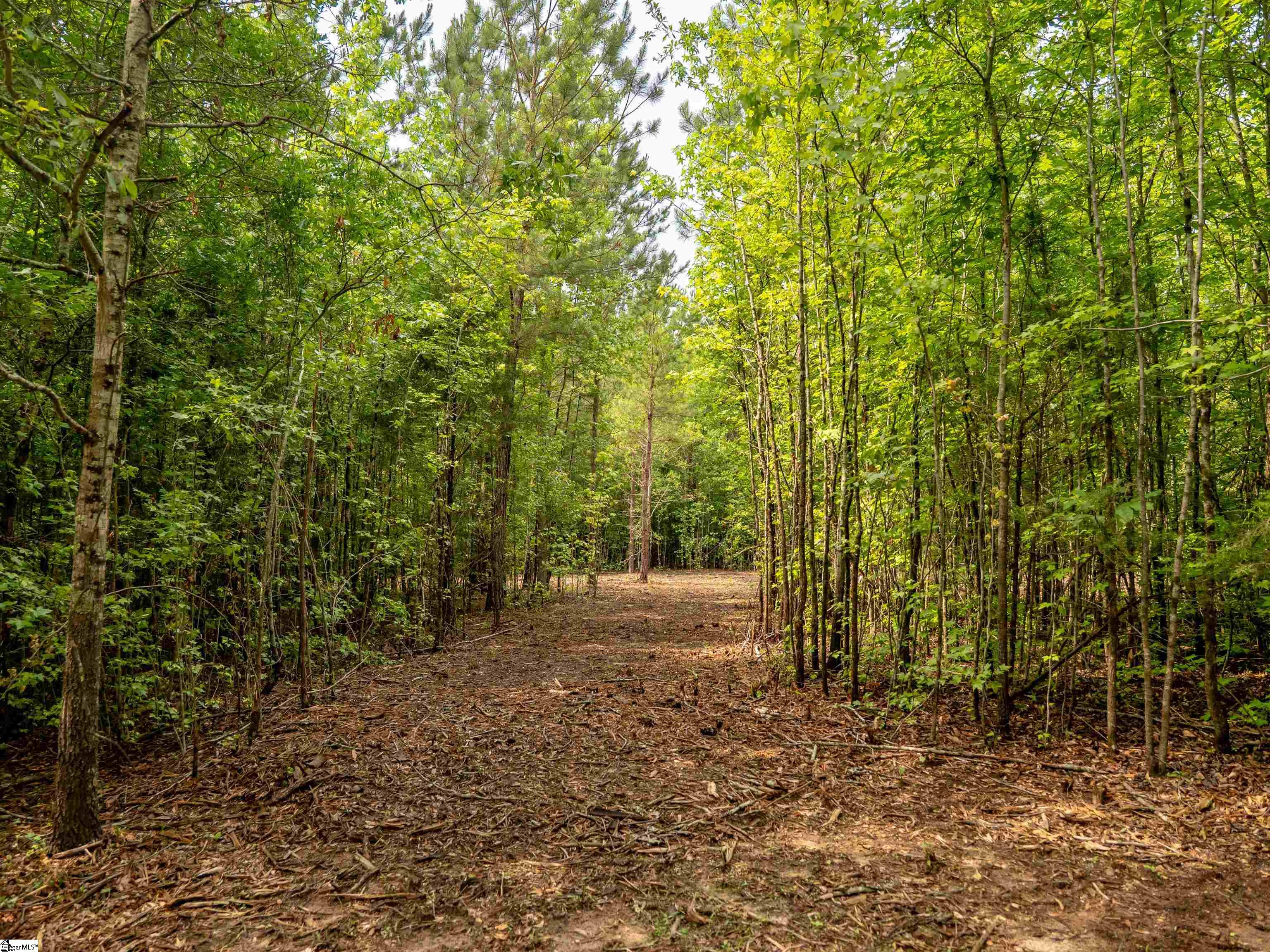 00 Terry Road UNIT Lot 3 Fountain Inn, SC 29644