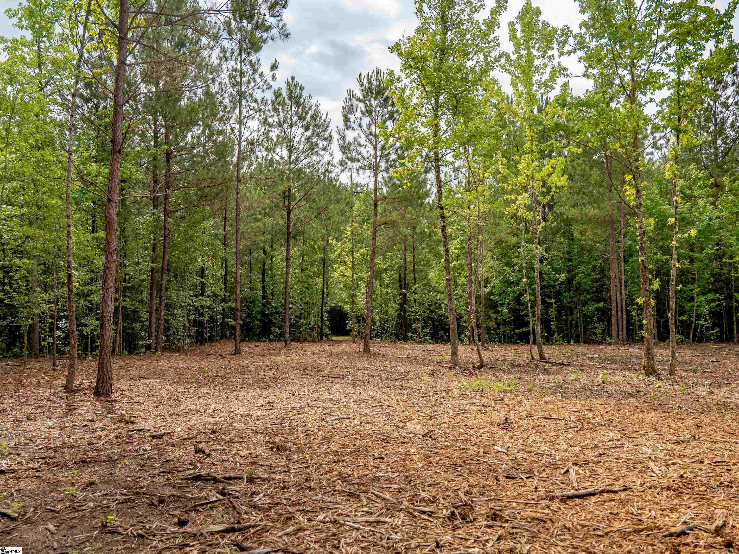 00 Terry Road UNIT Lot 3 Fountain Inn, SC 29644