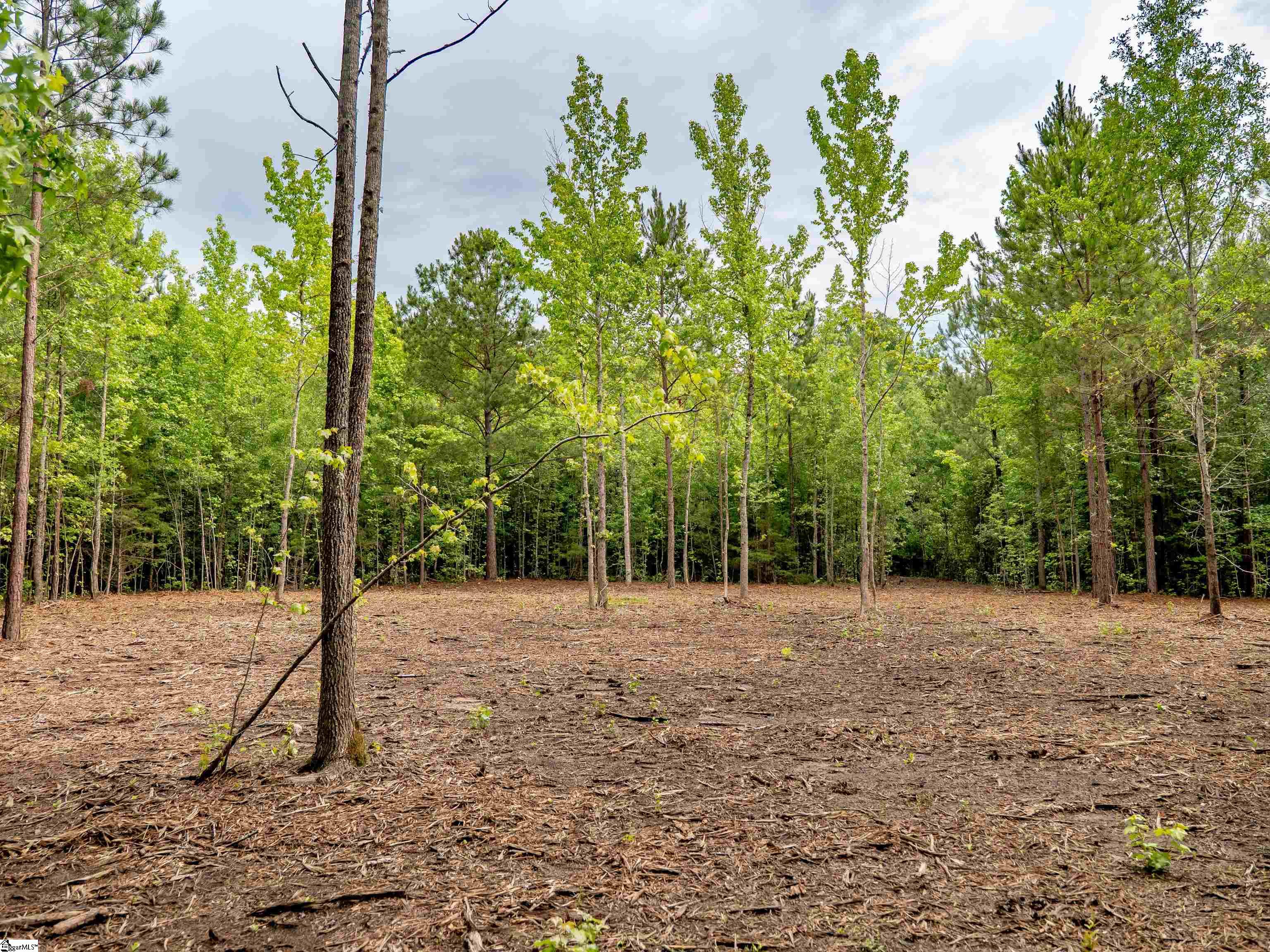 00 Terry Road UNIT Lot 3 Fountain Inn, SC 29644