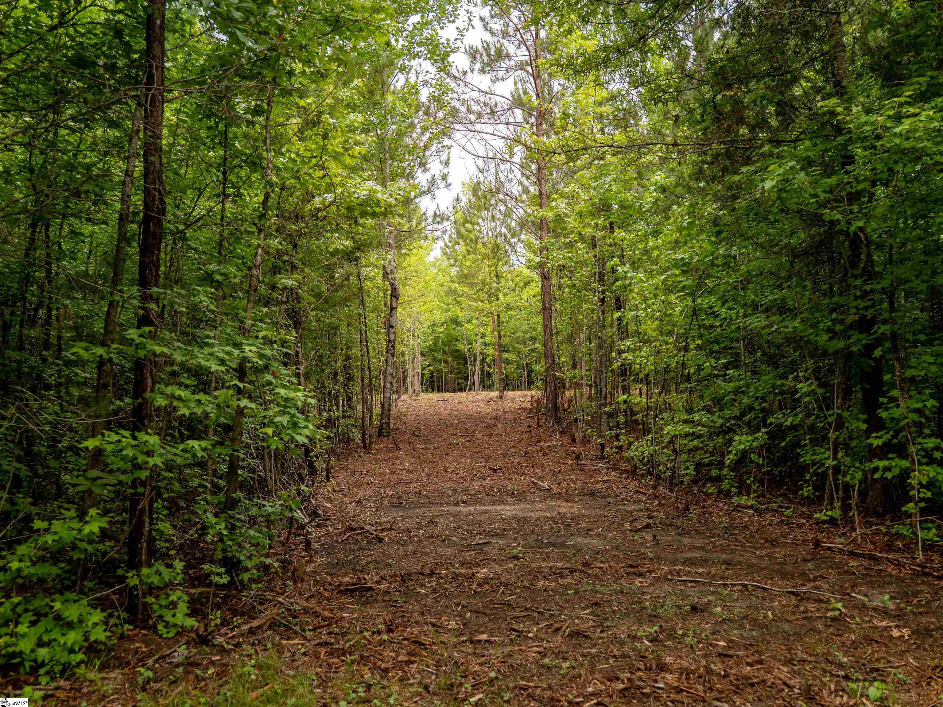 00 Terry Road UNIT Lot 3 Fountain Inn, SC 29644