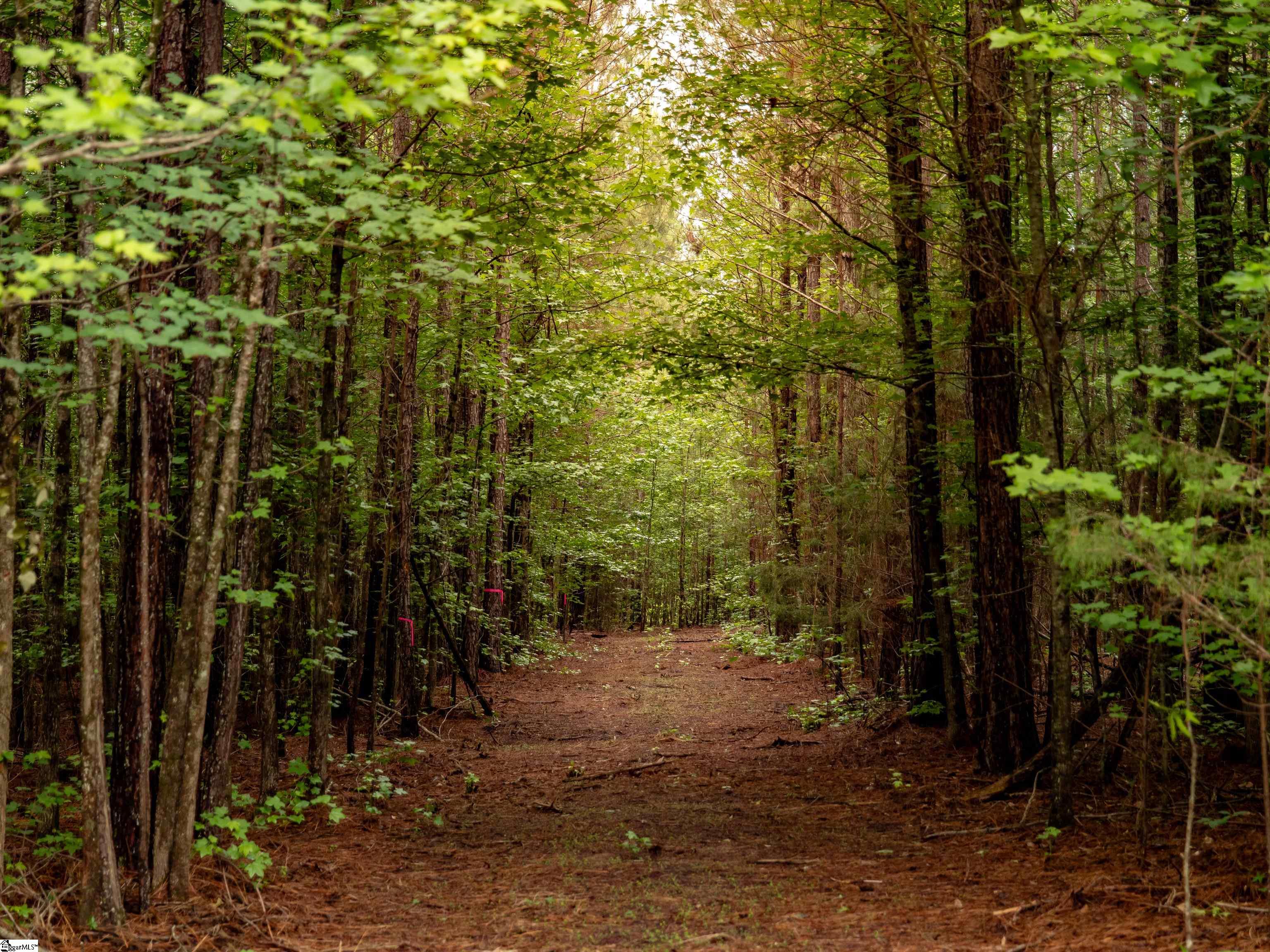 00 Terry Road UNIT Lot 3 Fountain Inn, SC 29644