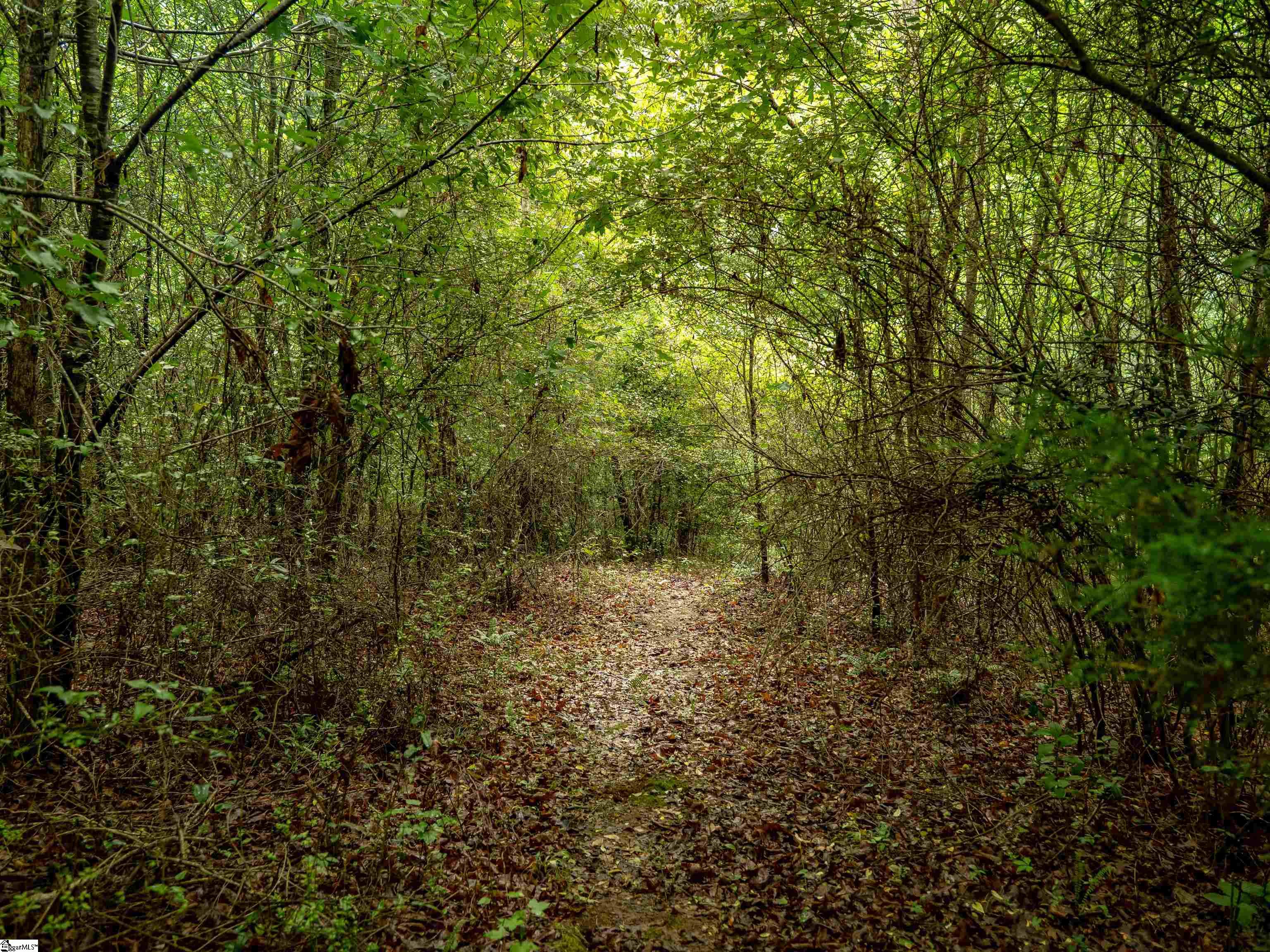 00 Terry Road UNIT Lot 3 Fountain Inn, SC 29644
