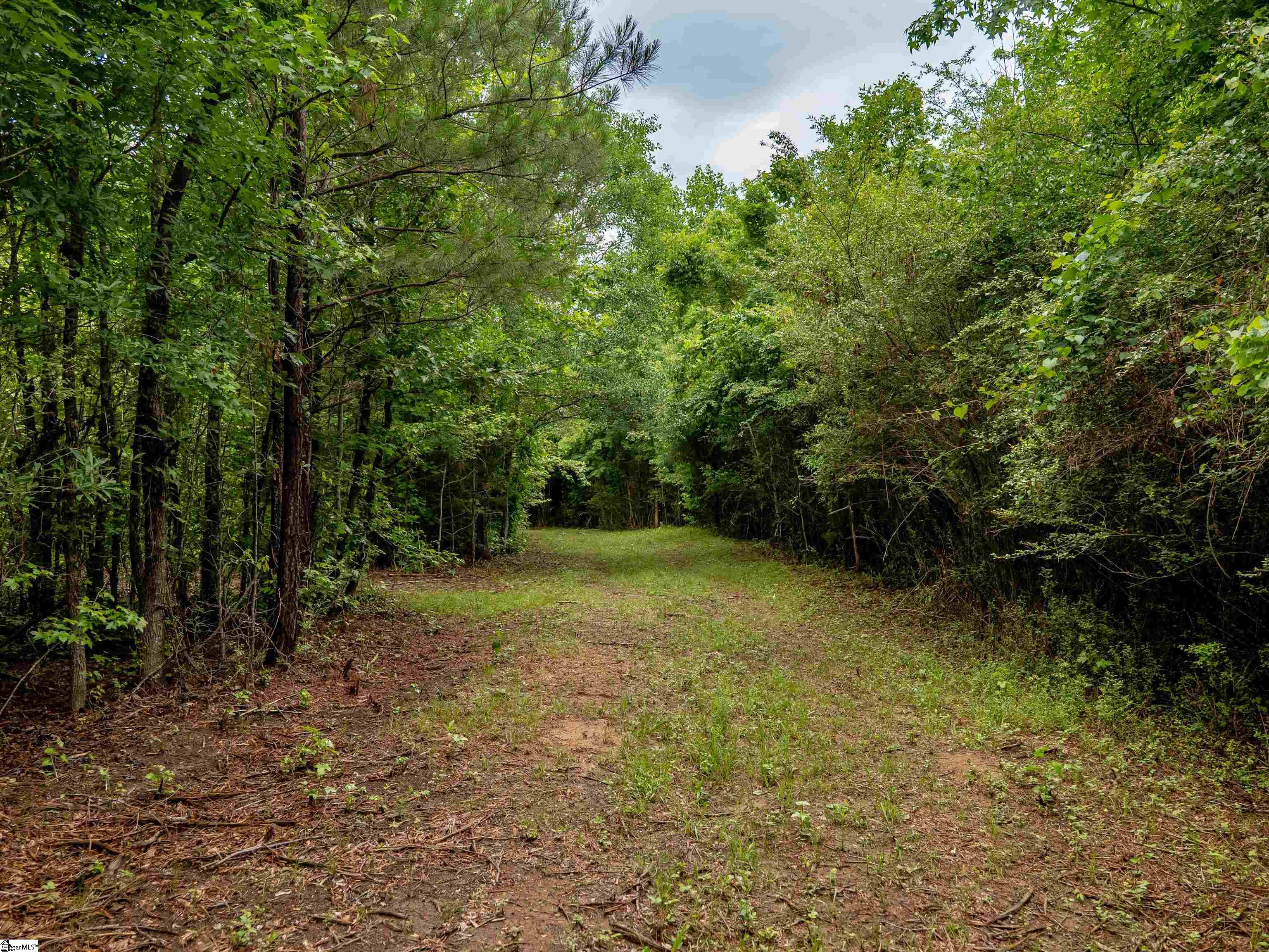 00 Terry Road UNIT Lot 3 Fountain Inn, SC 29644