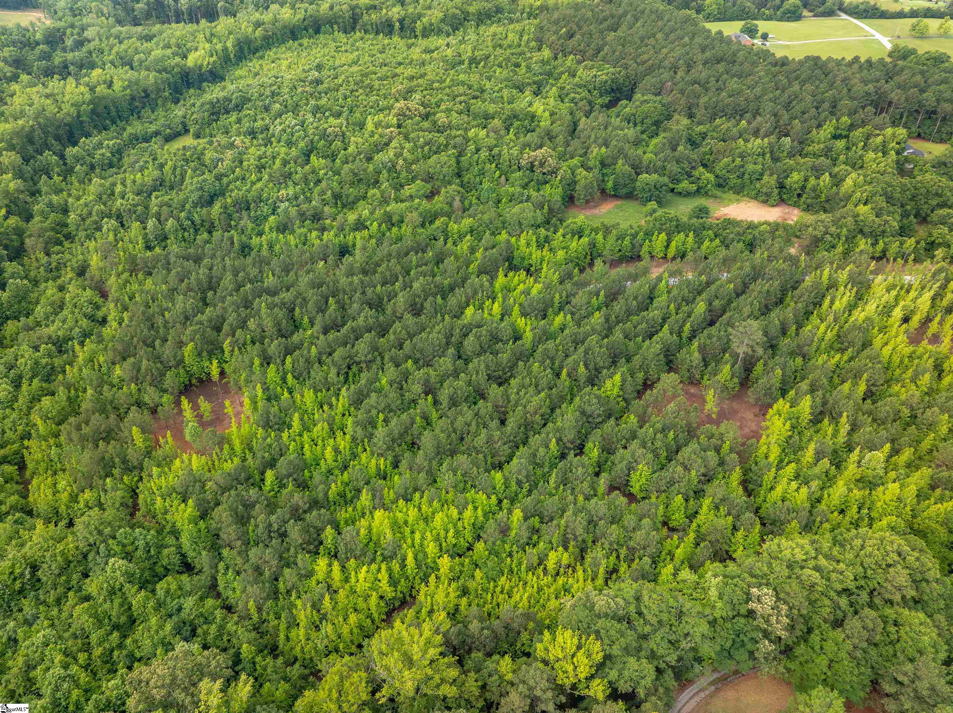00 Terry Road UNIT Lot 3 Fountain Inn, SC 29644