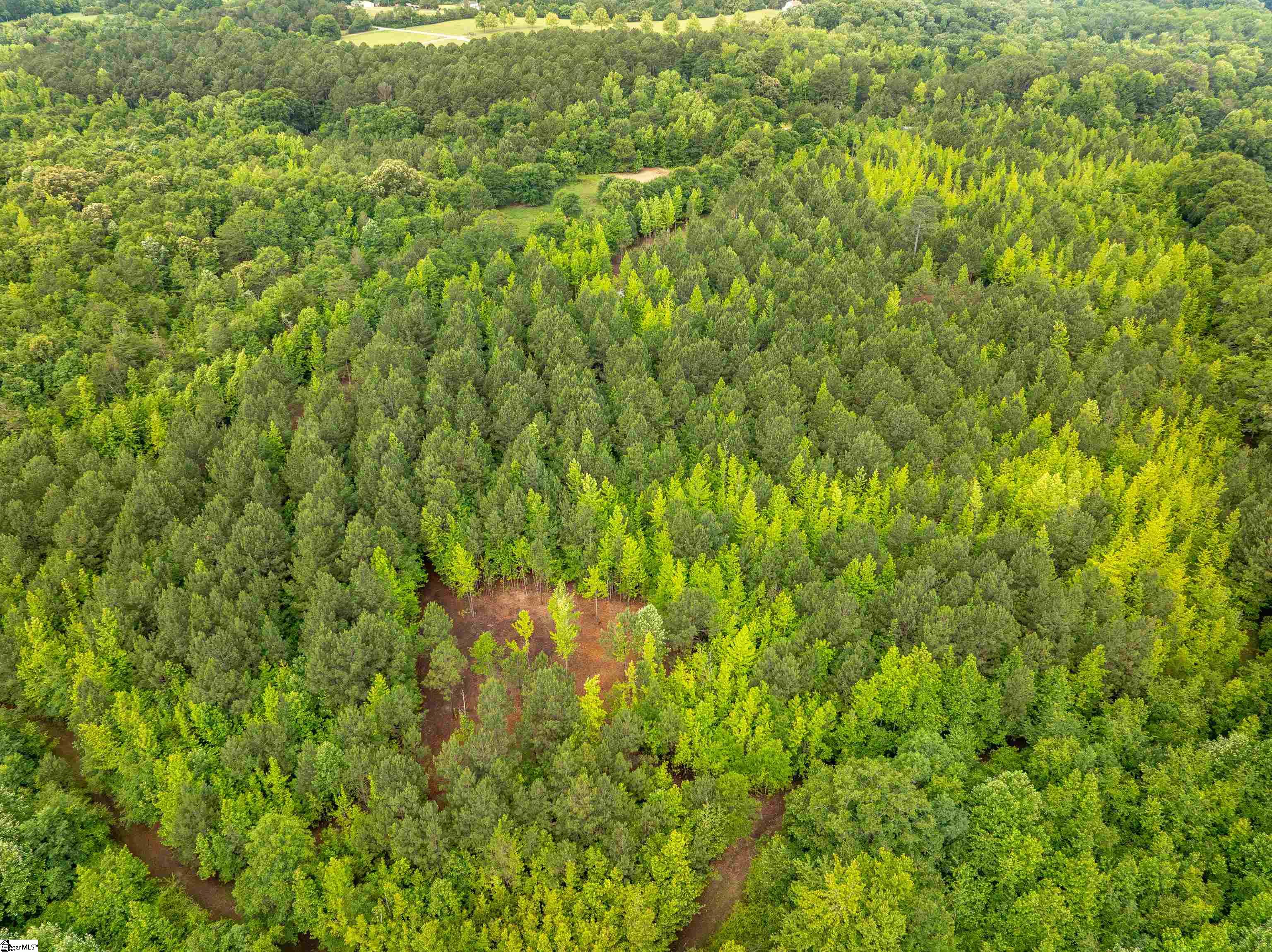 00 Terry Road UNIT Lot 3 Fountain Inn, SC 29644