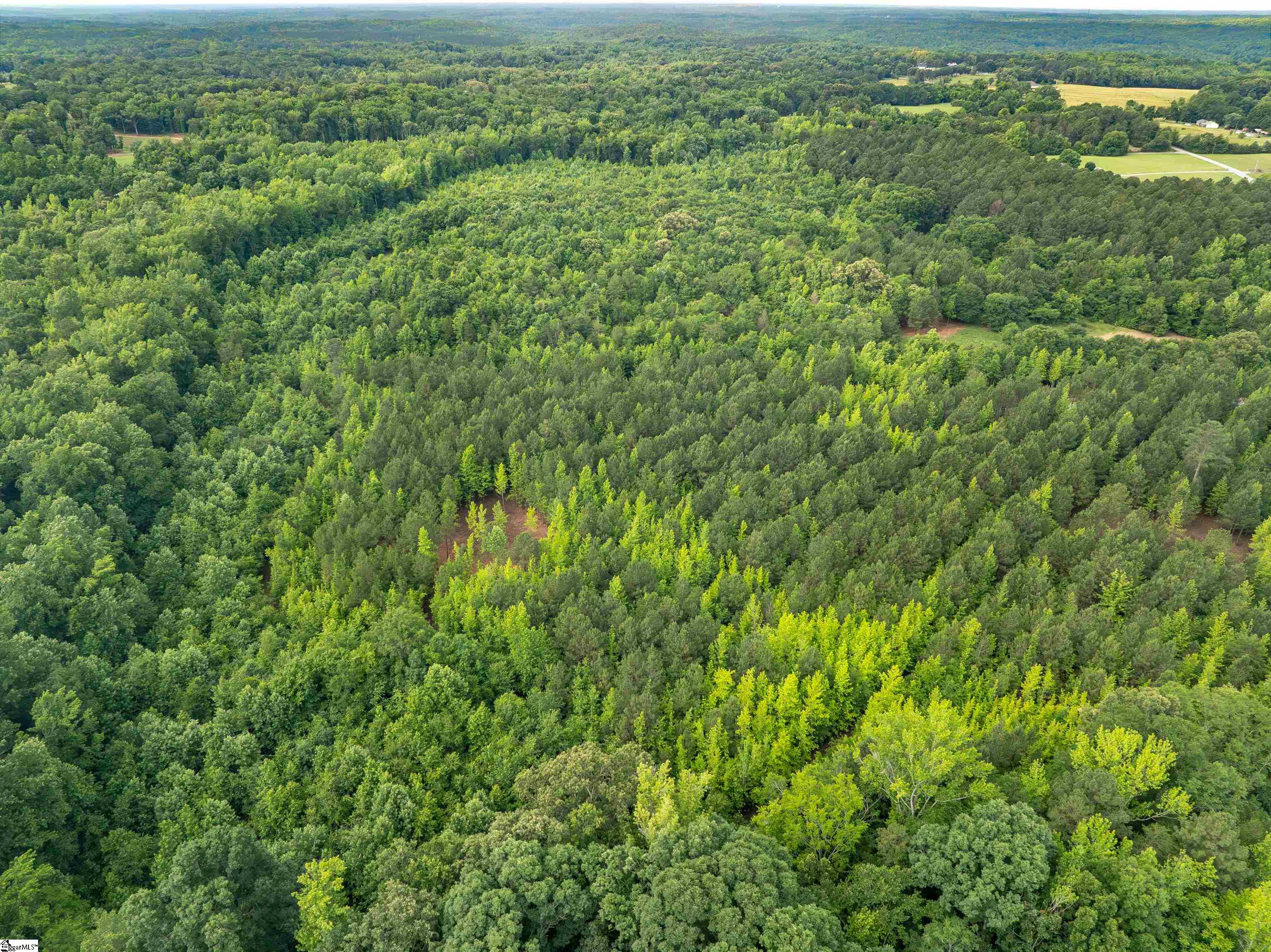 00 Terry Road UNIT Lot 3 Fountain Inn, SC 29644
