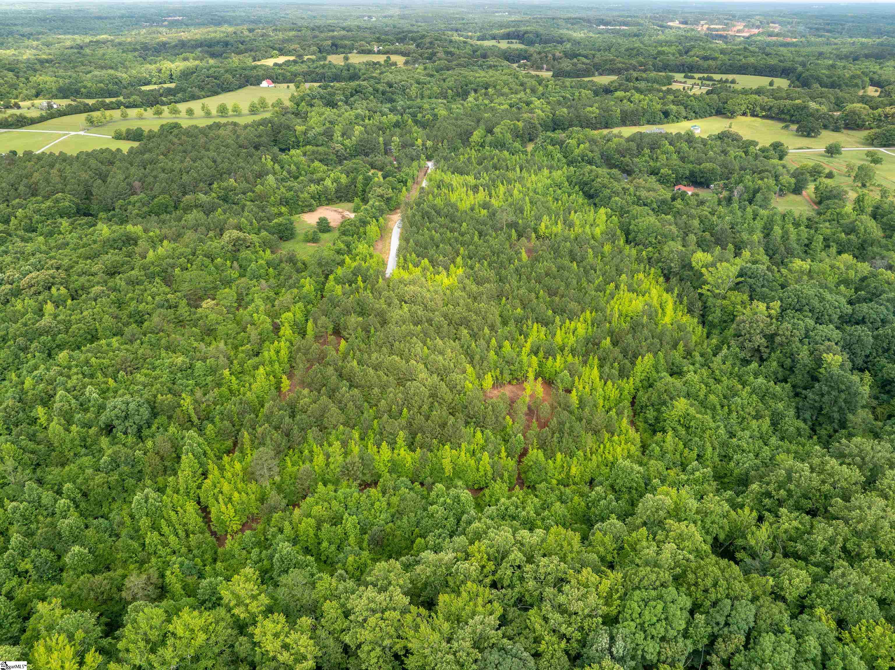 00 Terry Road UNIT Lot 3 Fountain Inn, SC 29644