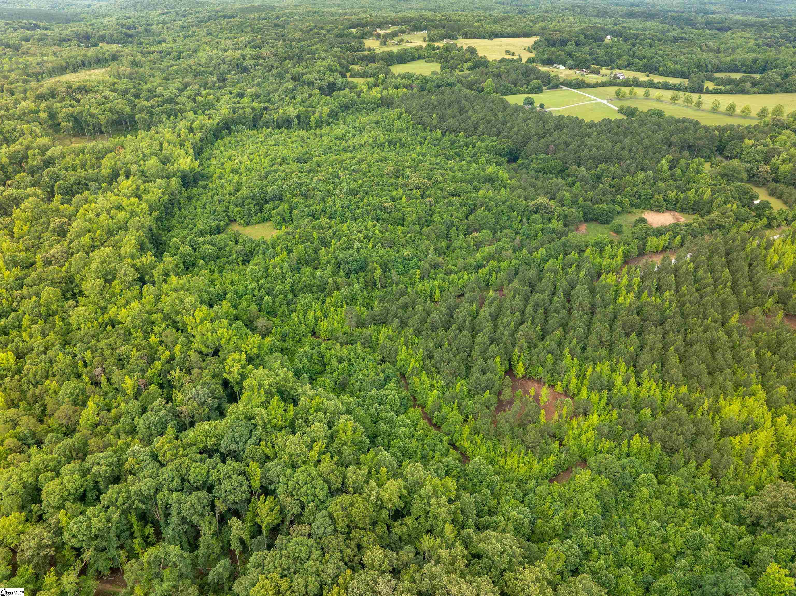00 Terry Road UNIT Lot 4 Fountain Inn, SC 29644